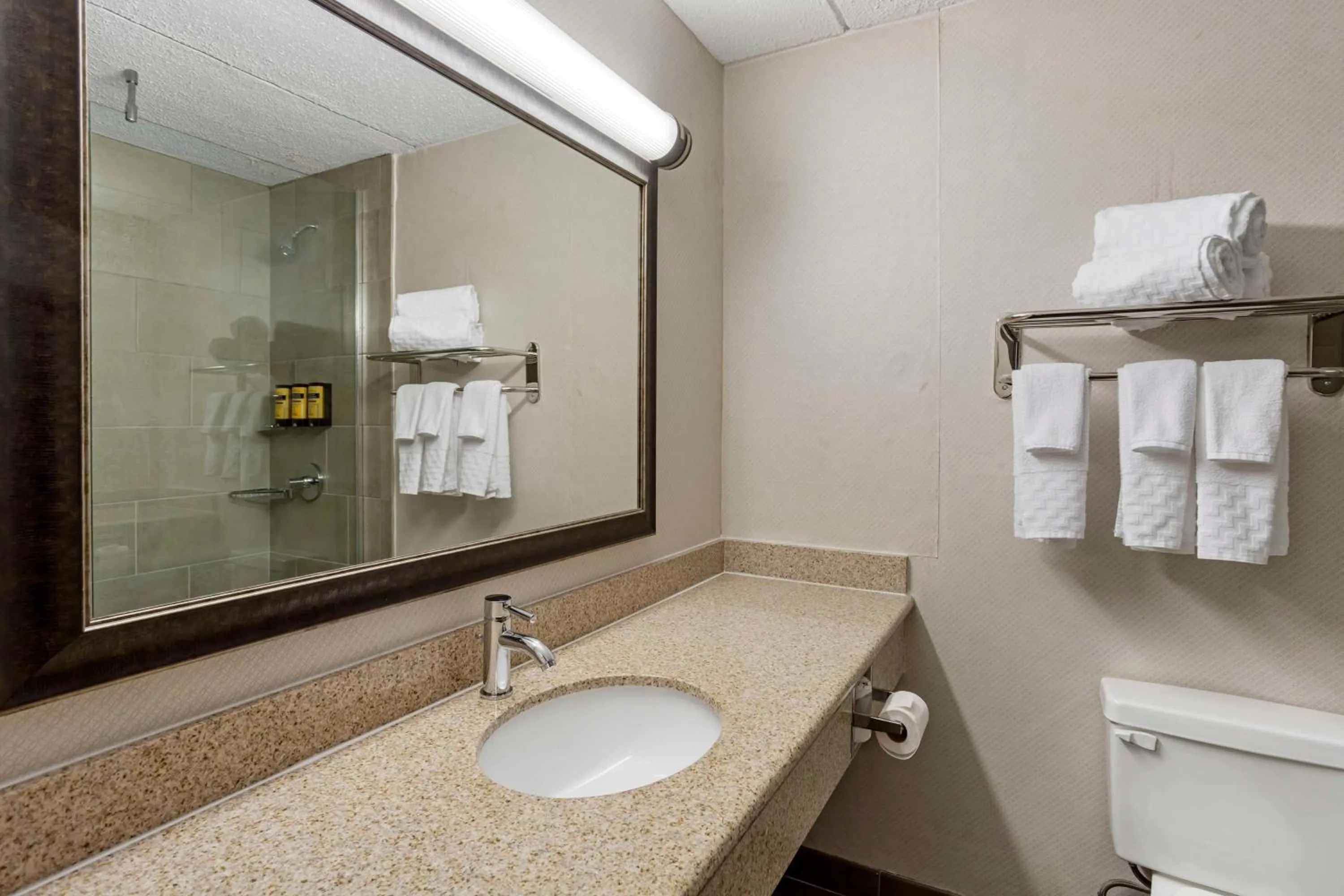 Bathroom in Best Western Plus Kingston Hotel and Conference Center