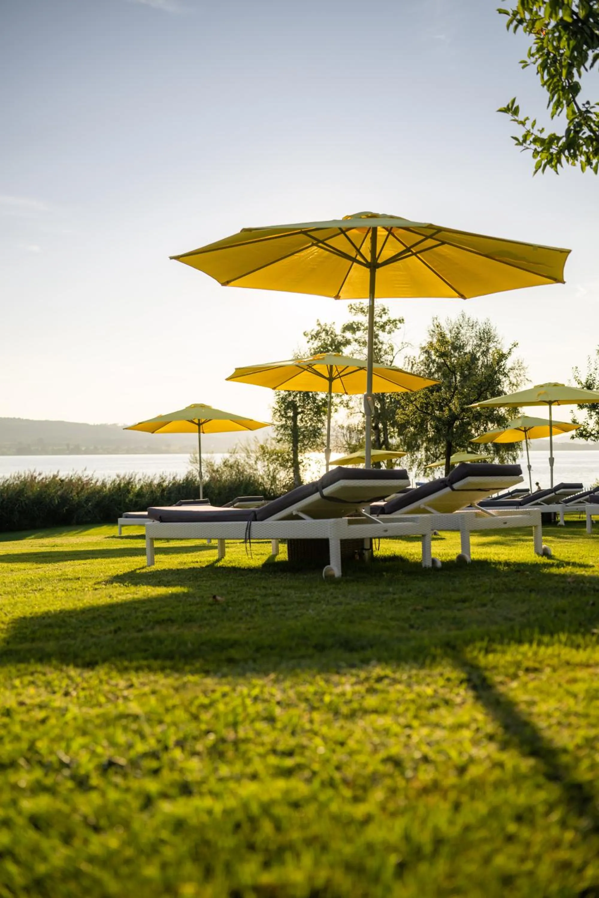 Garden in Sonne Seehotel