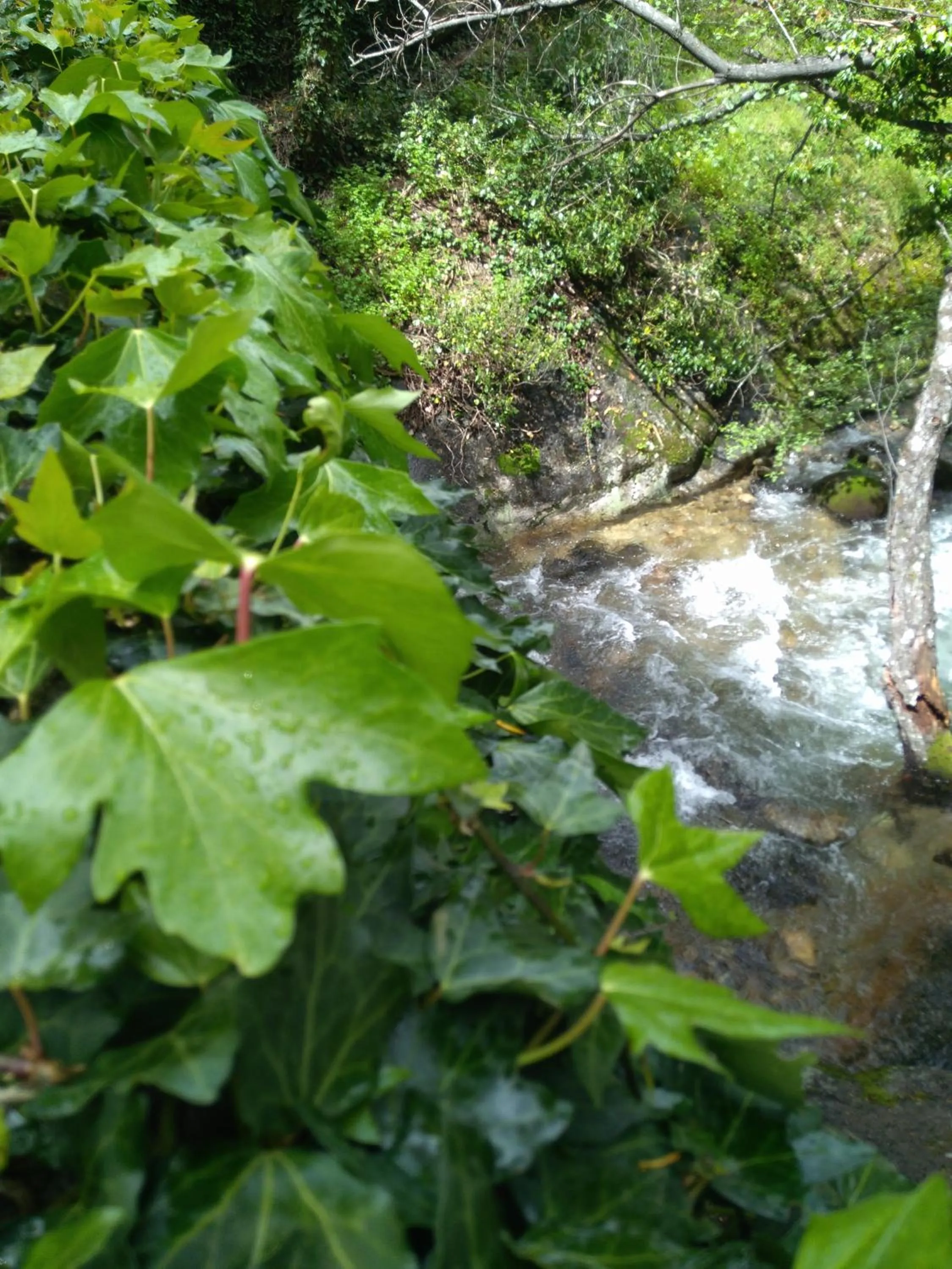 Casa Rural Fuente El Boticario
