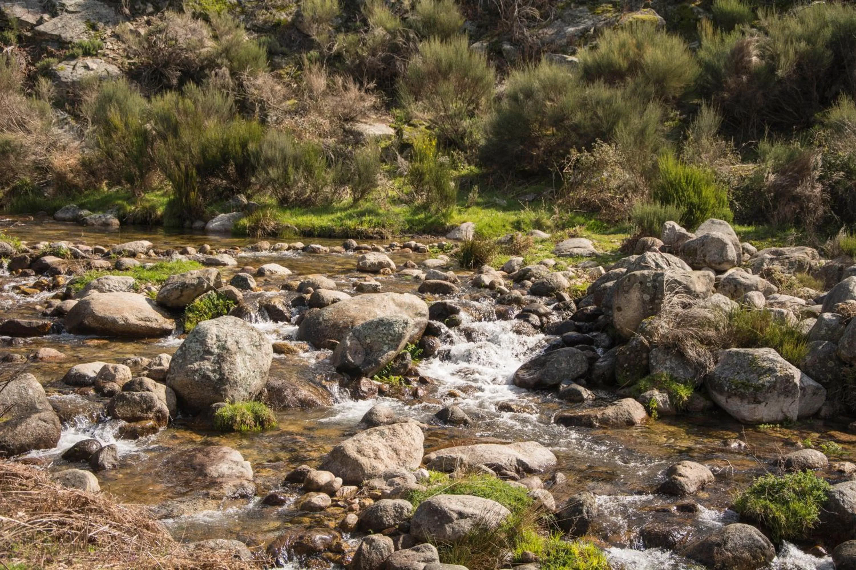 Other in Casa Rural Fuente El Boticario