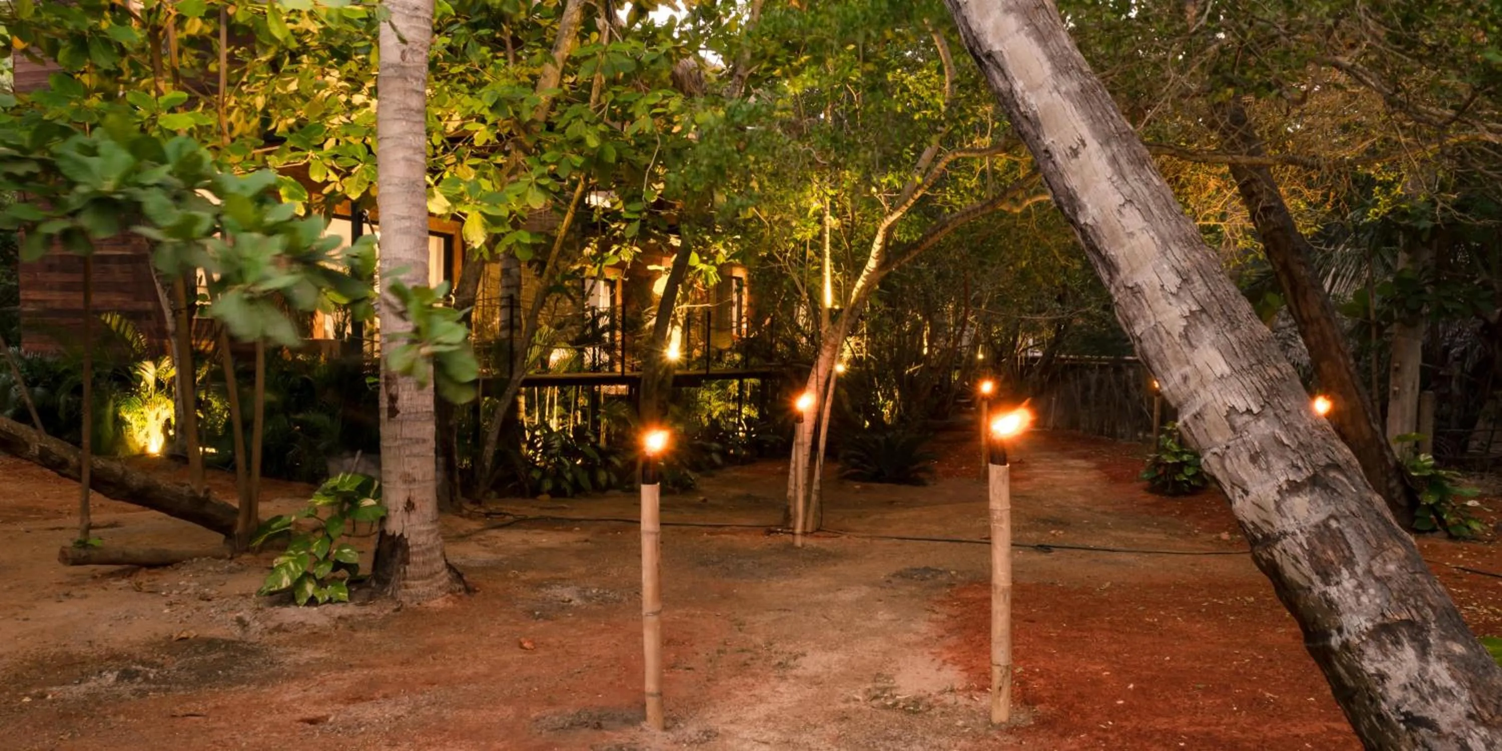 Garden in Hotel Noga