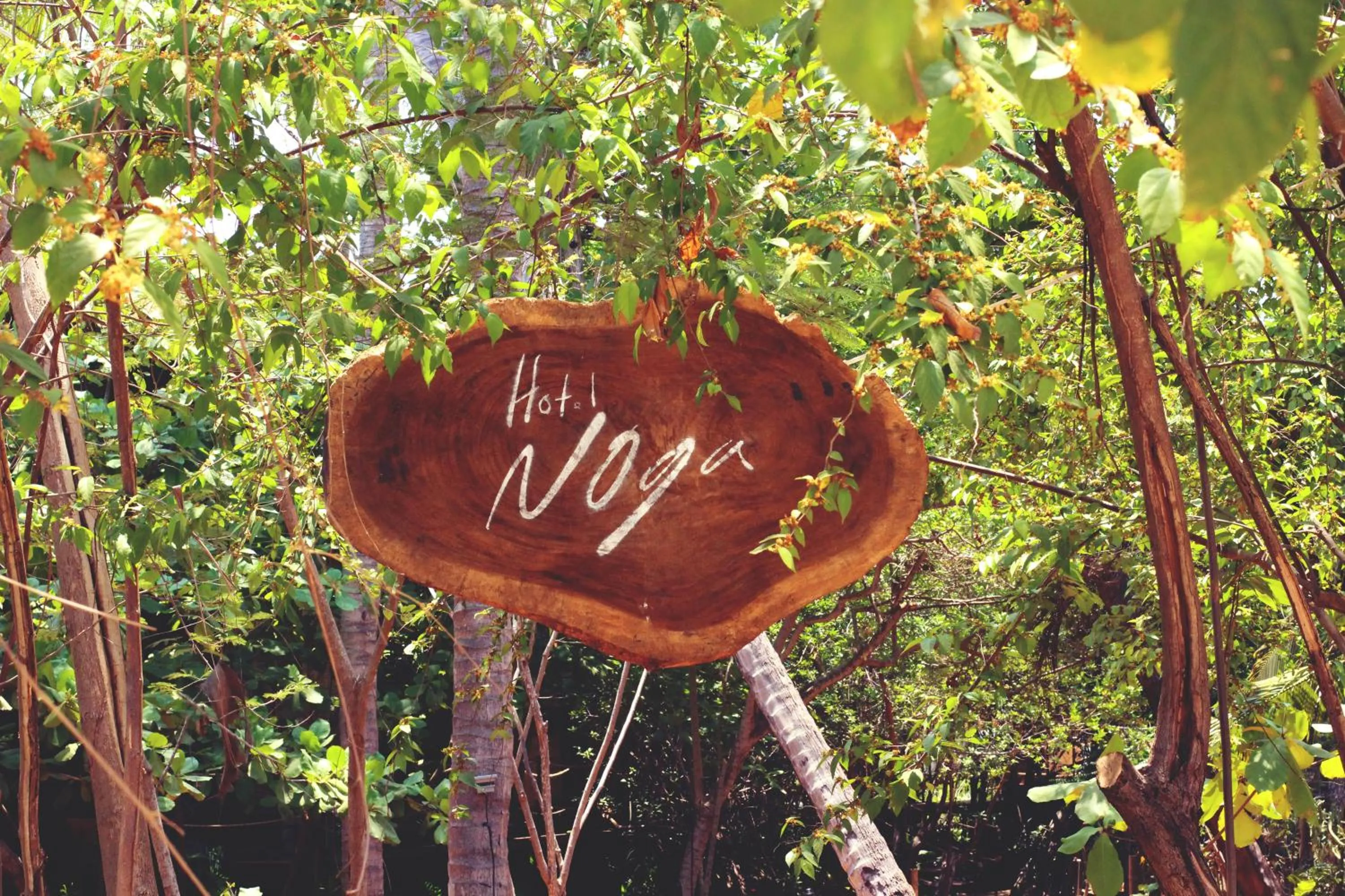 Facade/entrance in Hotel Noga