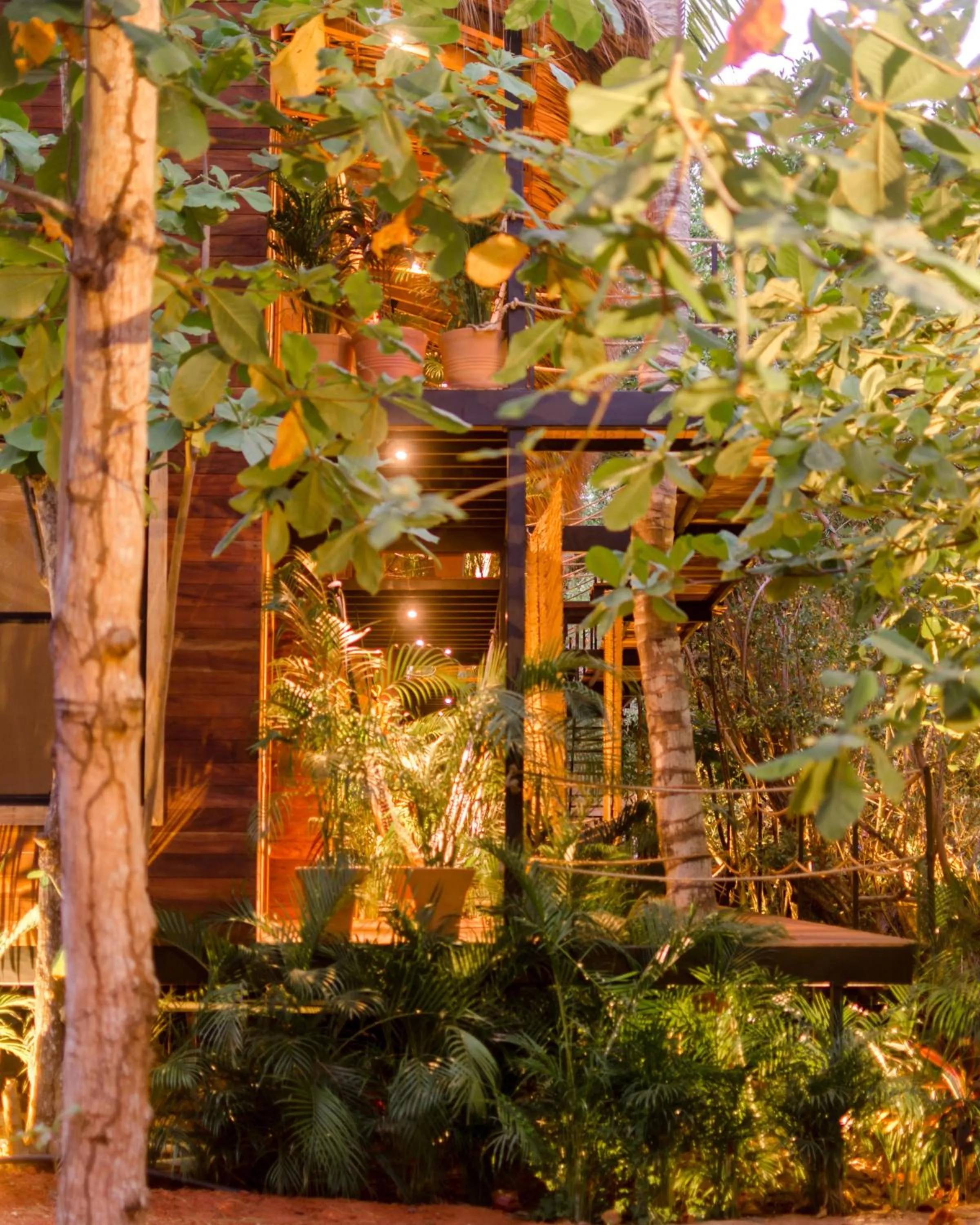 Garden in Hotel Noga