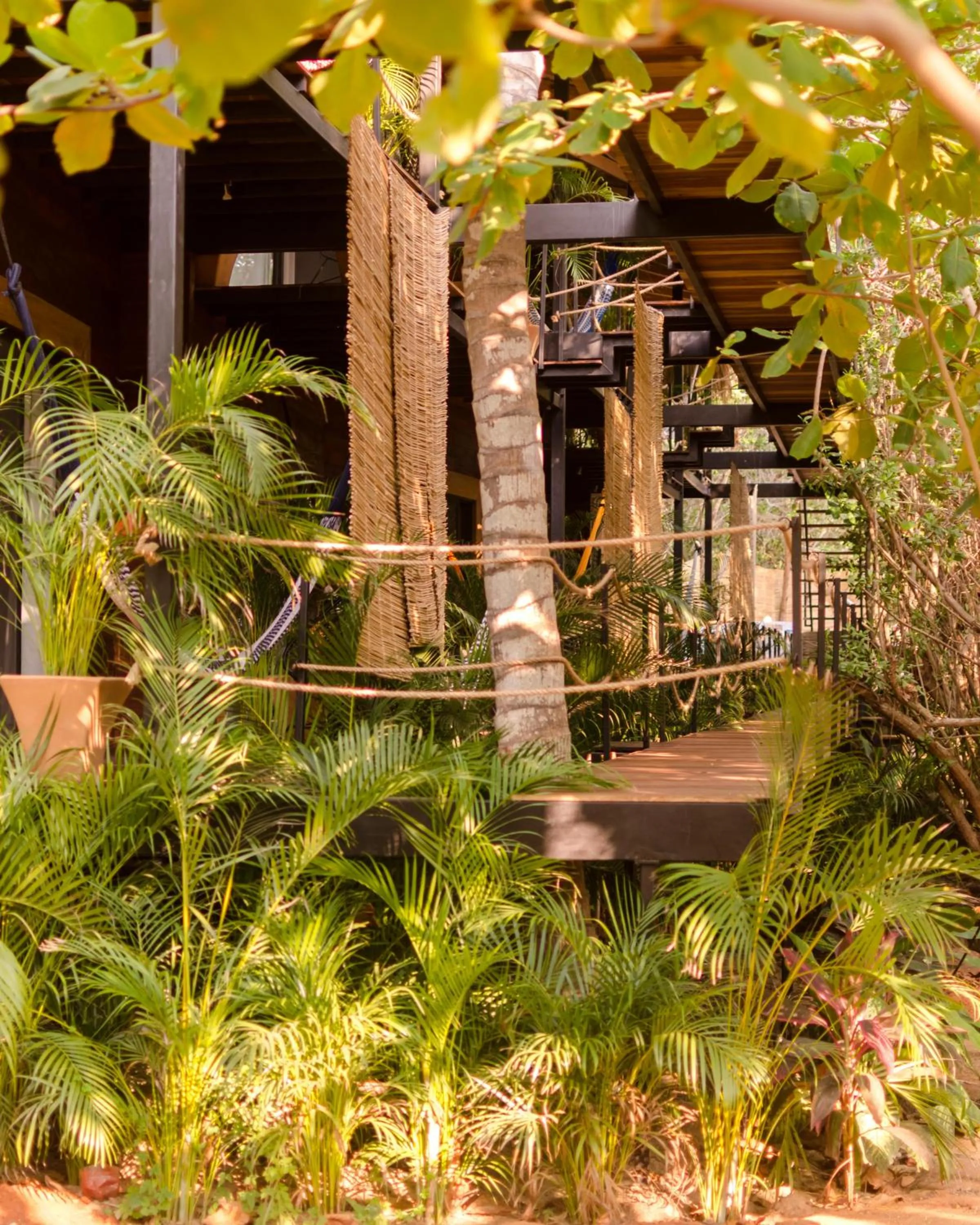 Garden in Hotel Noga