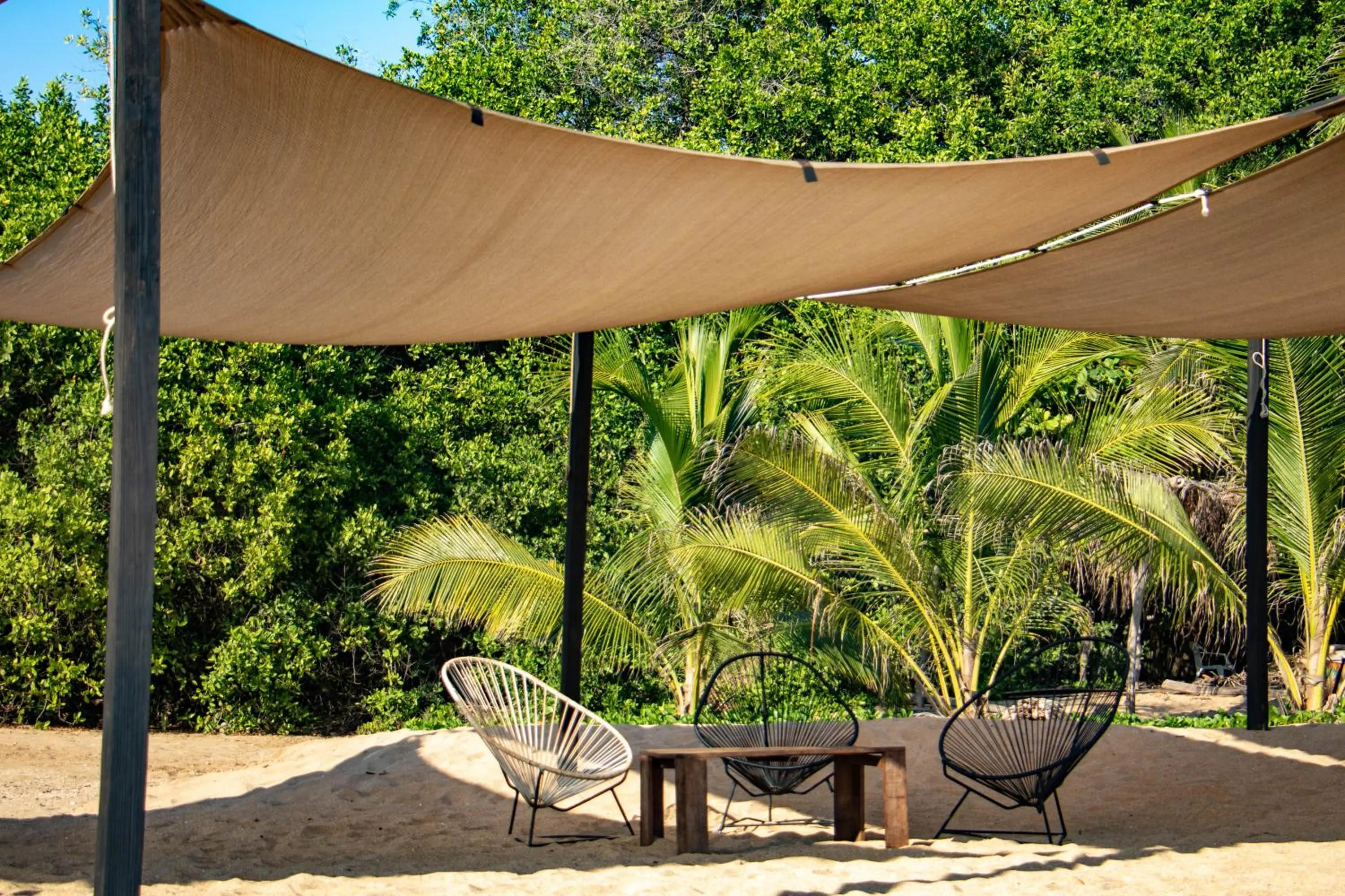 Restaurant/places to eat in Hotel Noga