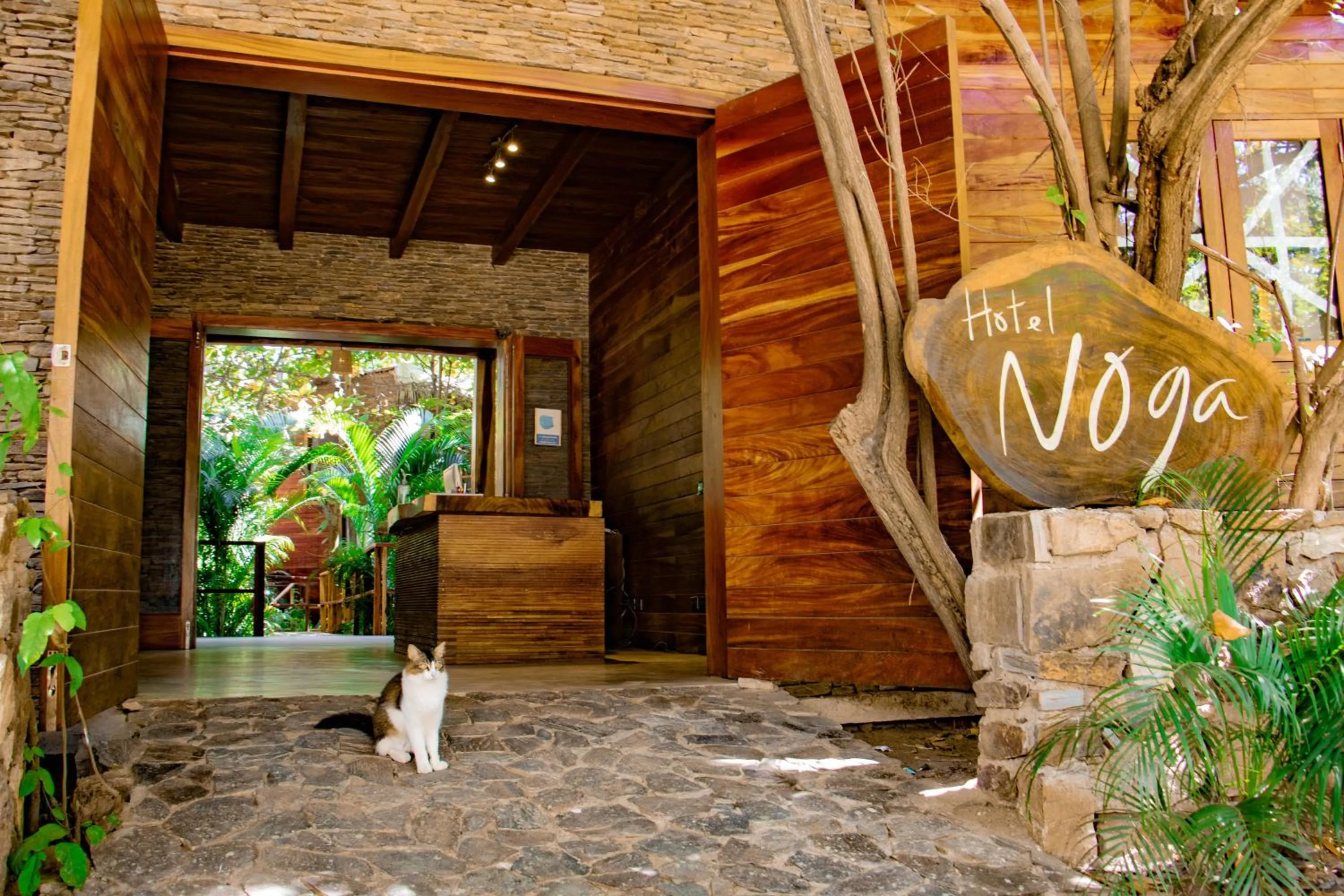 Lobby or reception in Hotel Noga