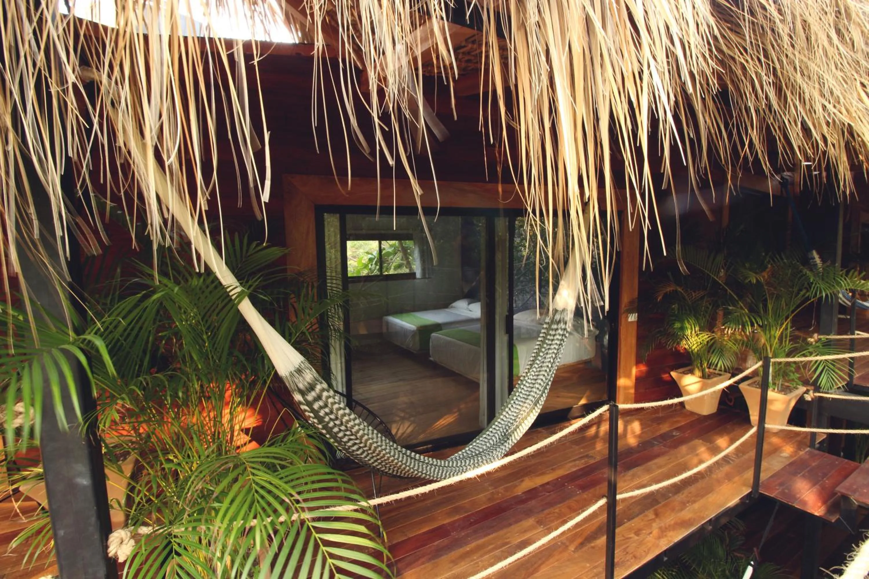 Photo of the whole room in Hotel Noga