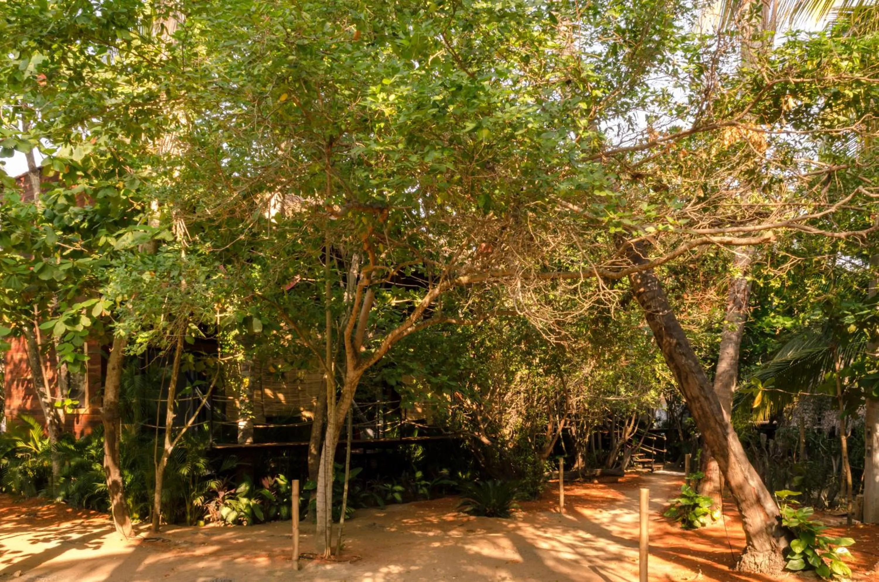 Garden in Hotel Noga