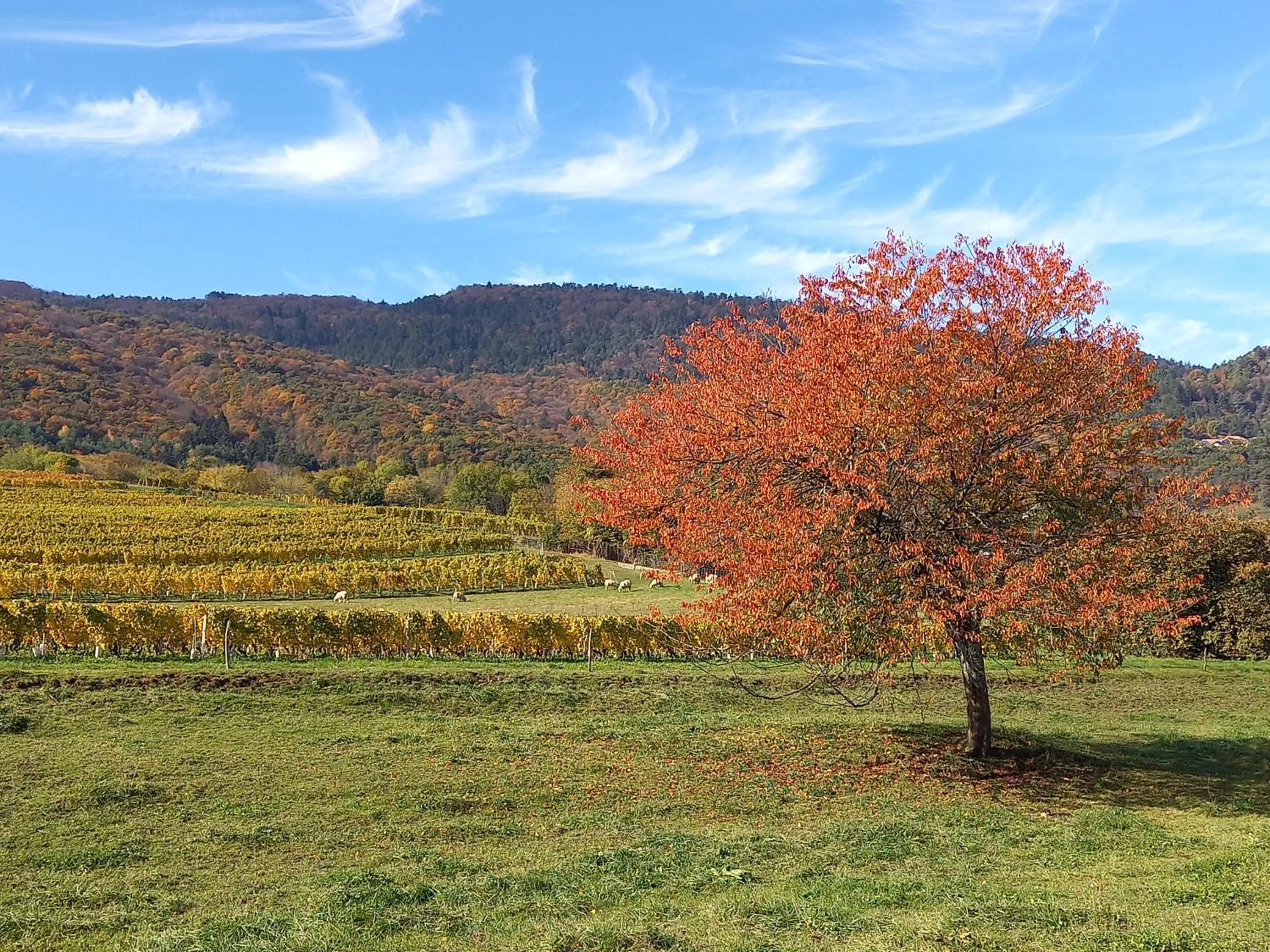 Day in Le Saint Vincent