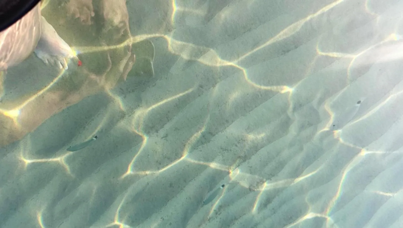 Sea view in CH Exclusive Apartments