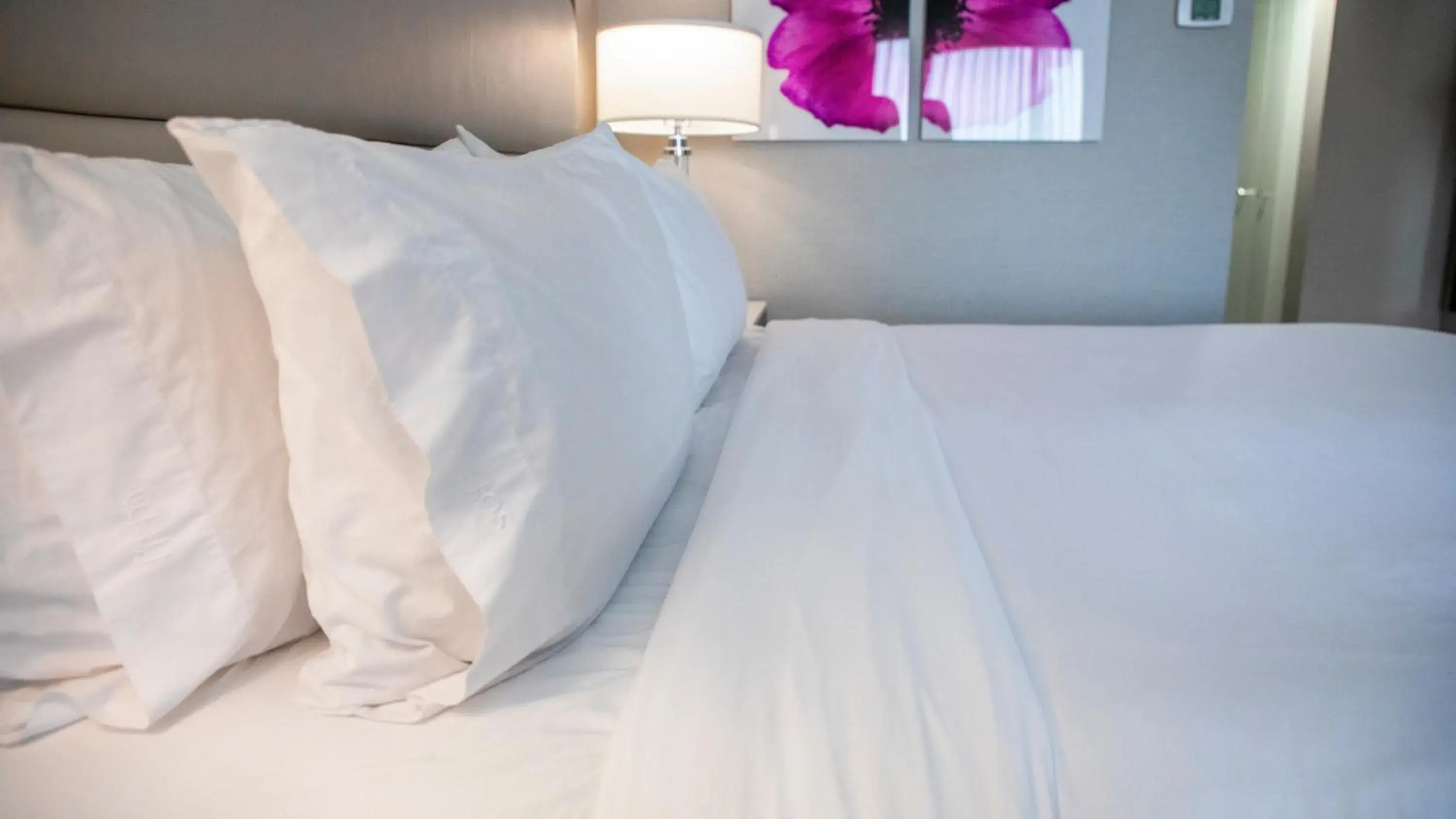 Queen Room with Mobility Accessible Tub - Non-Smoking in Holiday Inn Wilmington by IHG Queen Room with Mobility Accessible Tub - Non-Smoking in Holiday Inn Wilmington by IHG