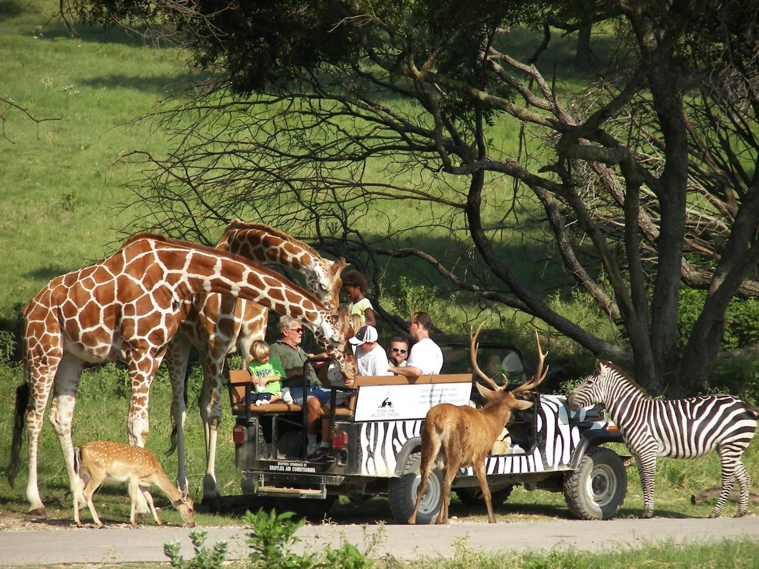 Other in Holiday Inn Express Glen Rose by IHG