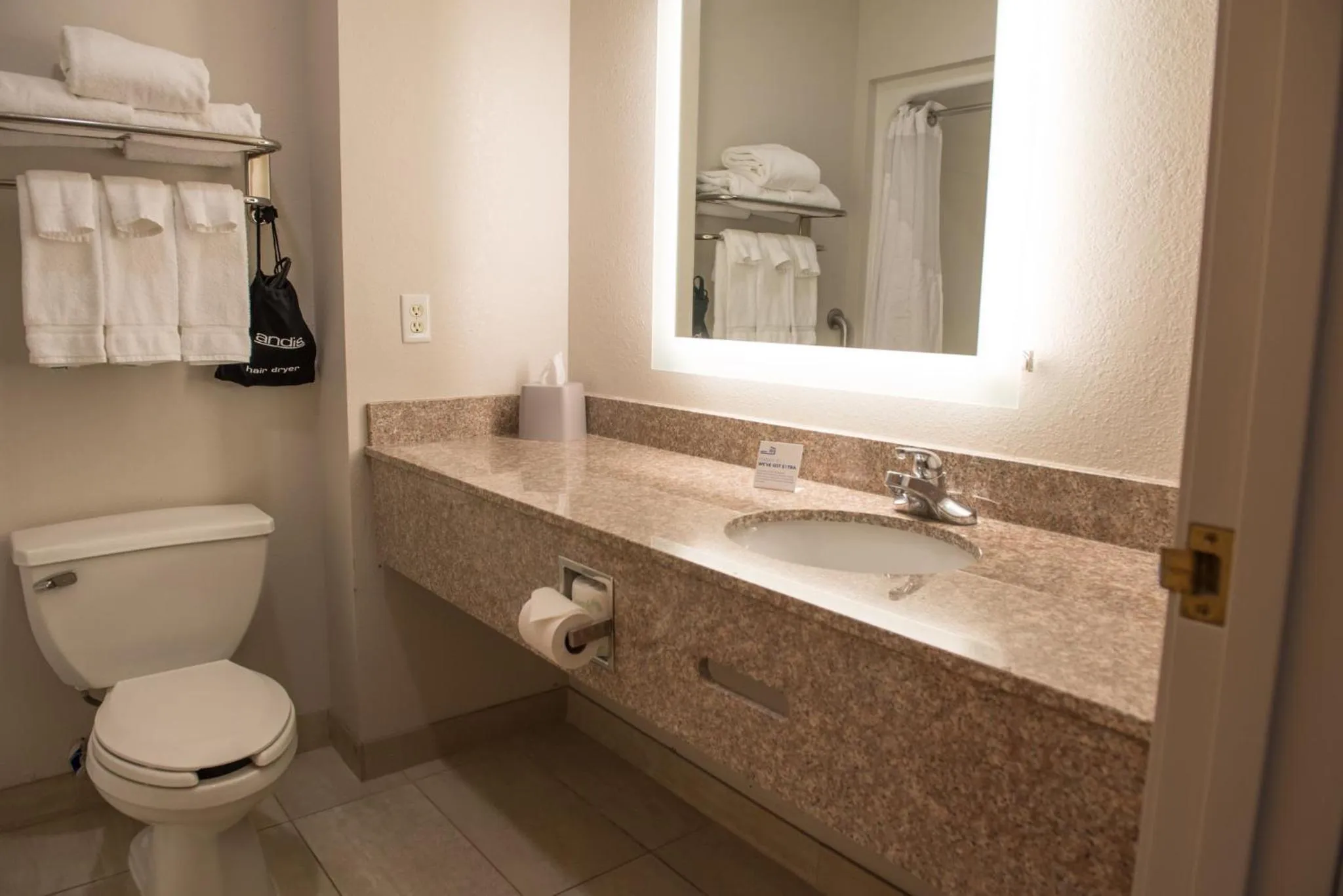 Bathroom in Holiday Inn Express Hotel & Suites Elkhart-South by IHG