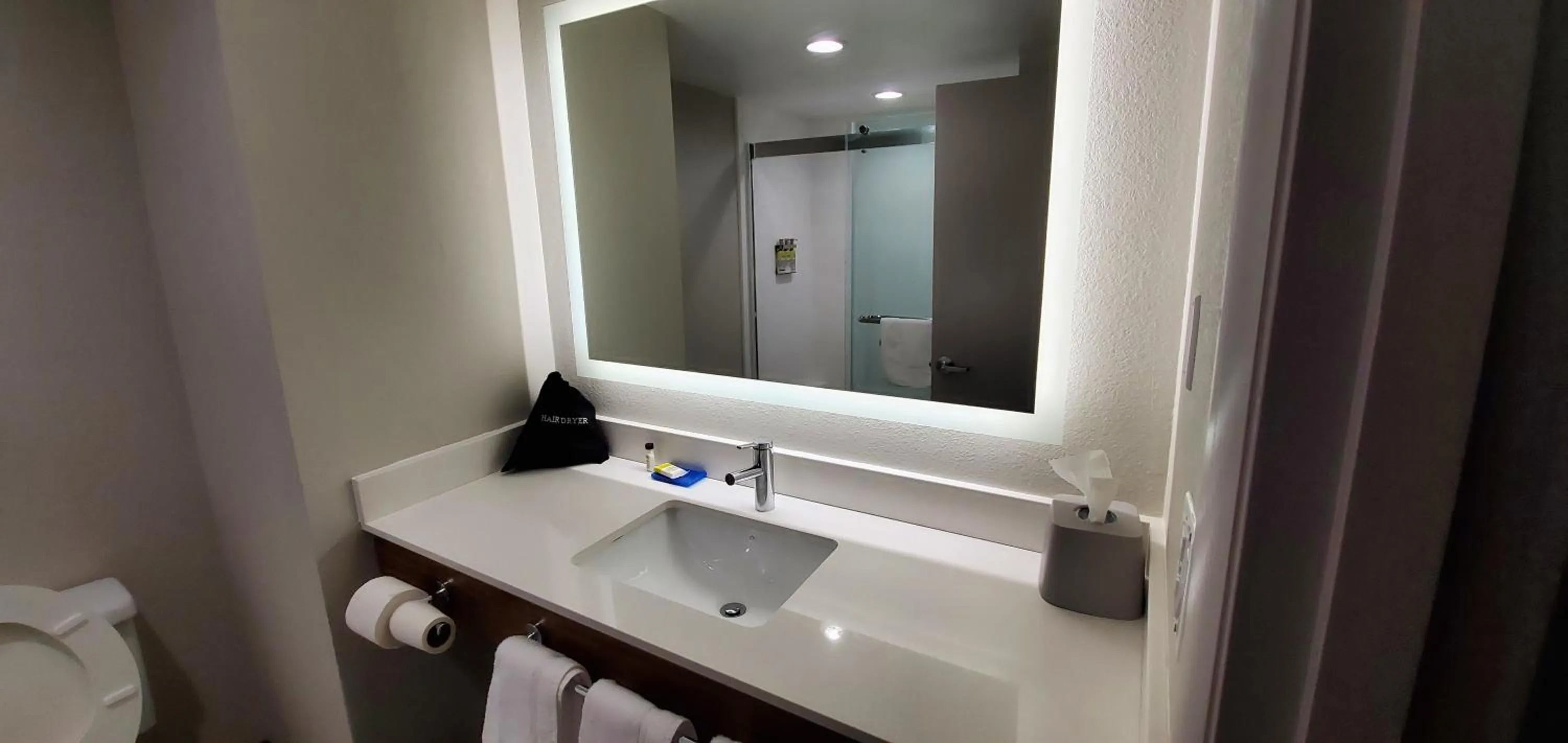 Bathroom in Holiday Inn Express Hotel & Suites Kinston by IHG