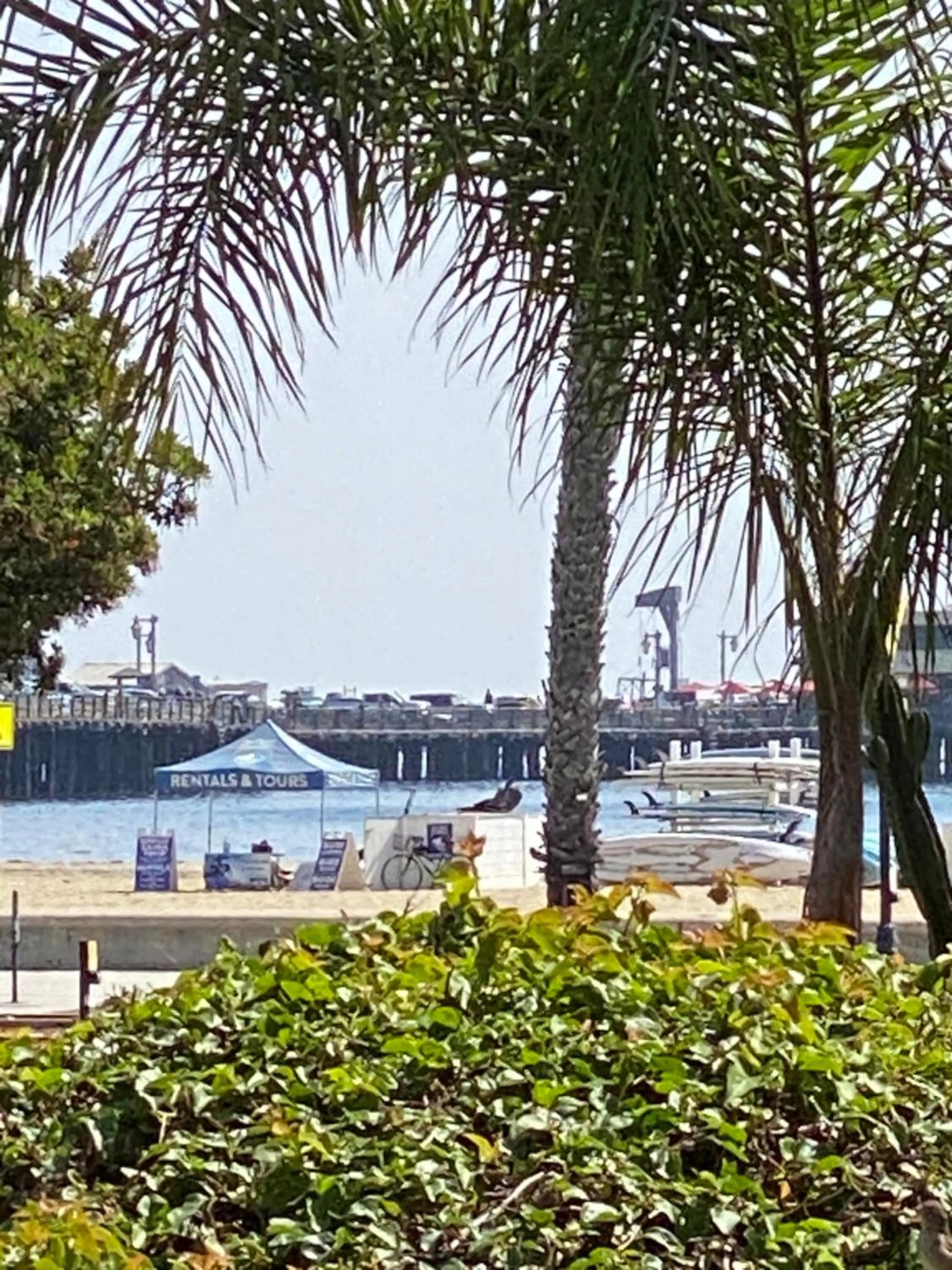 Nearby landmark in Villa Rosa Inn