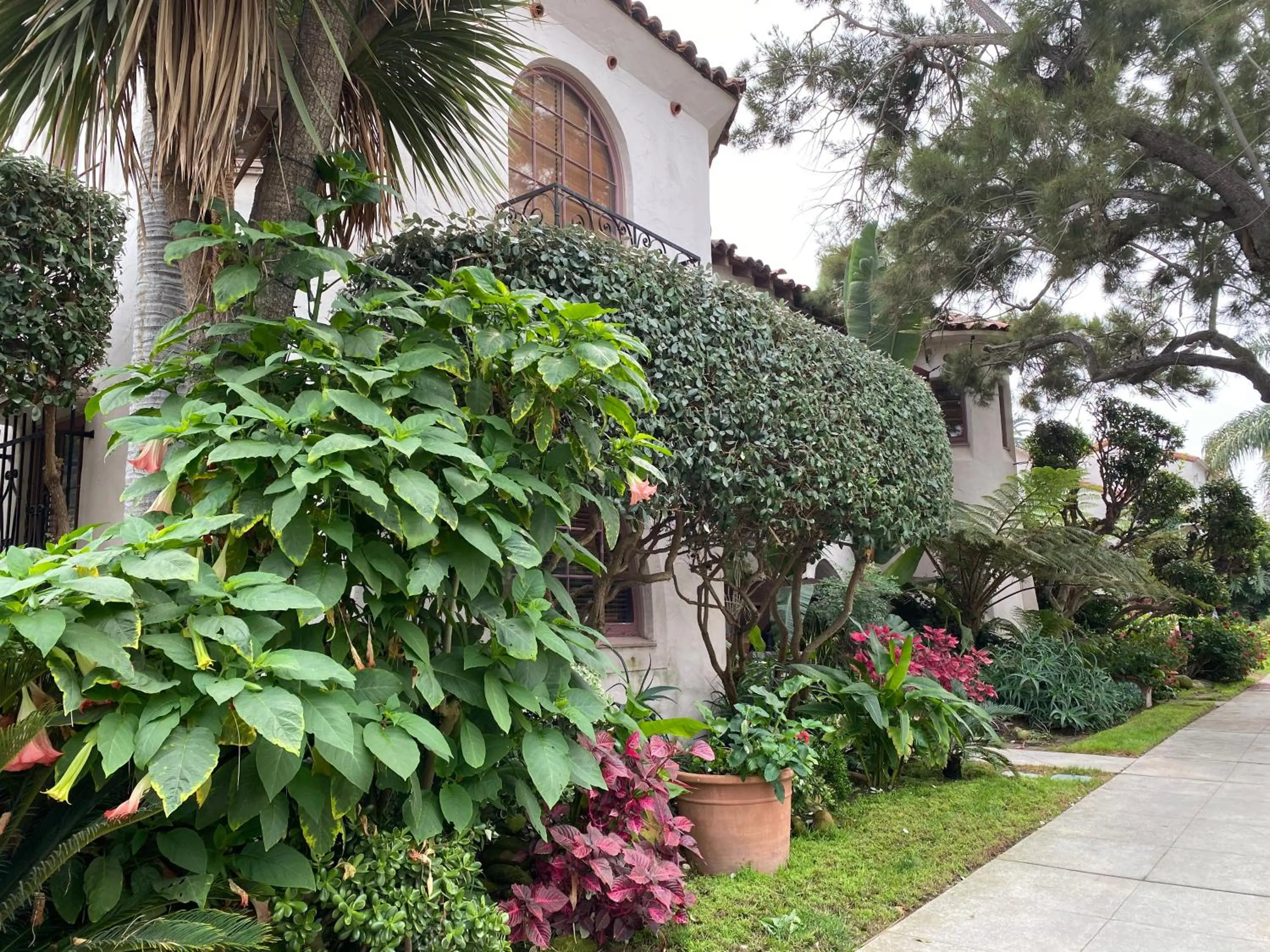 Garden in Villa Rosa Inn