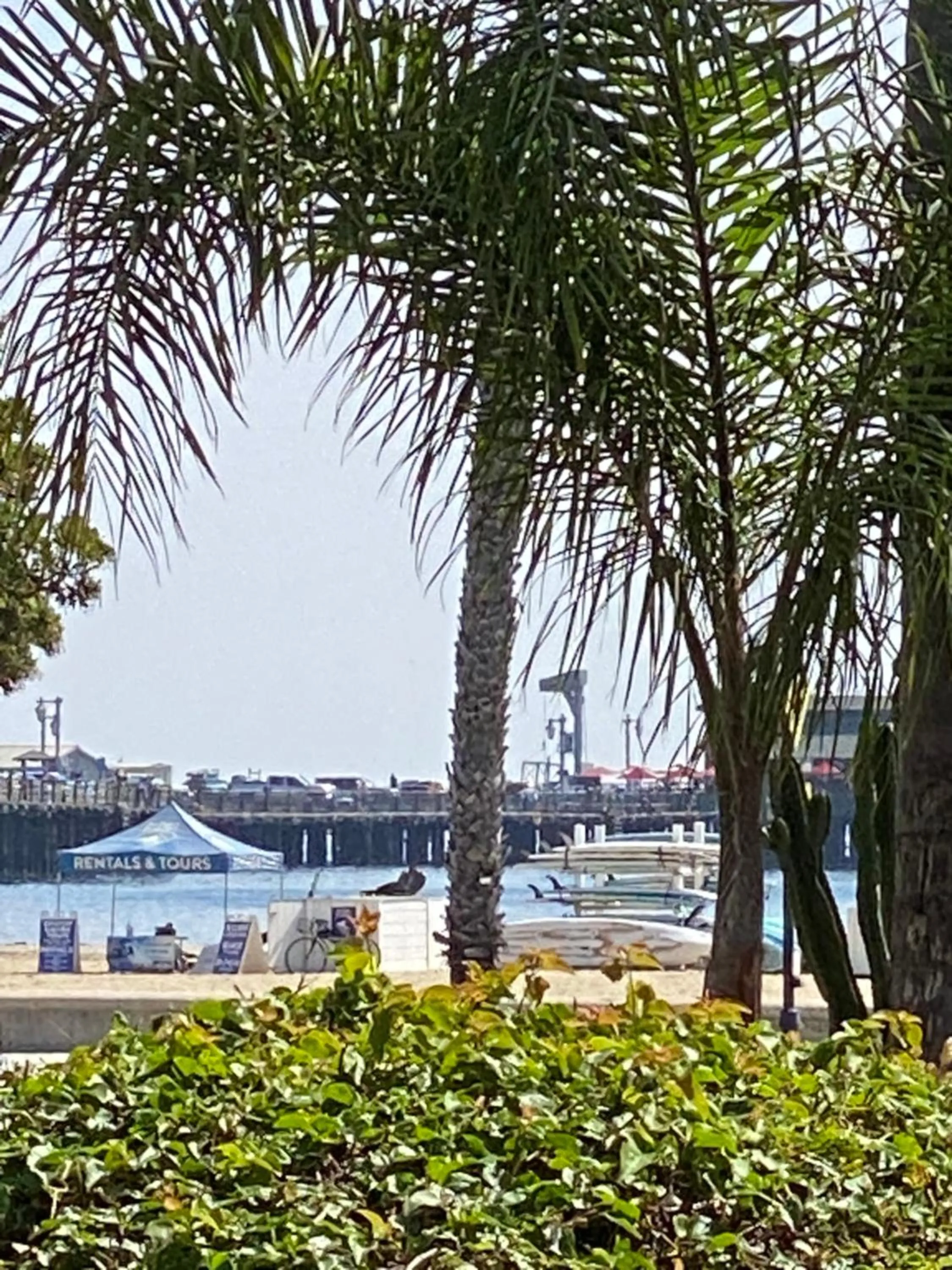 Sea view in Villa Rosa Inn