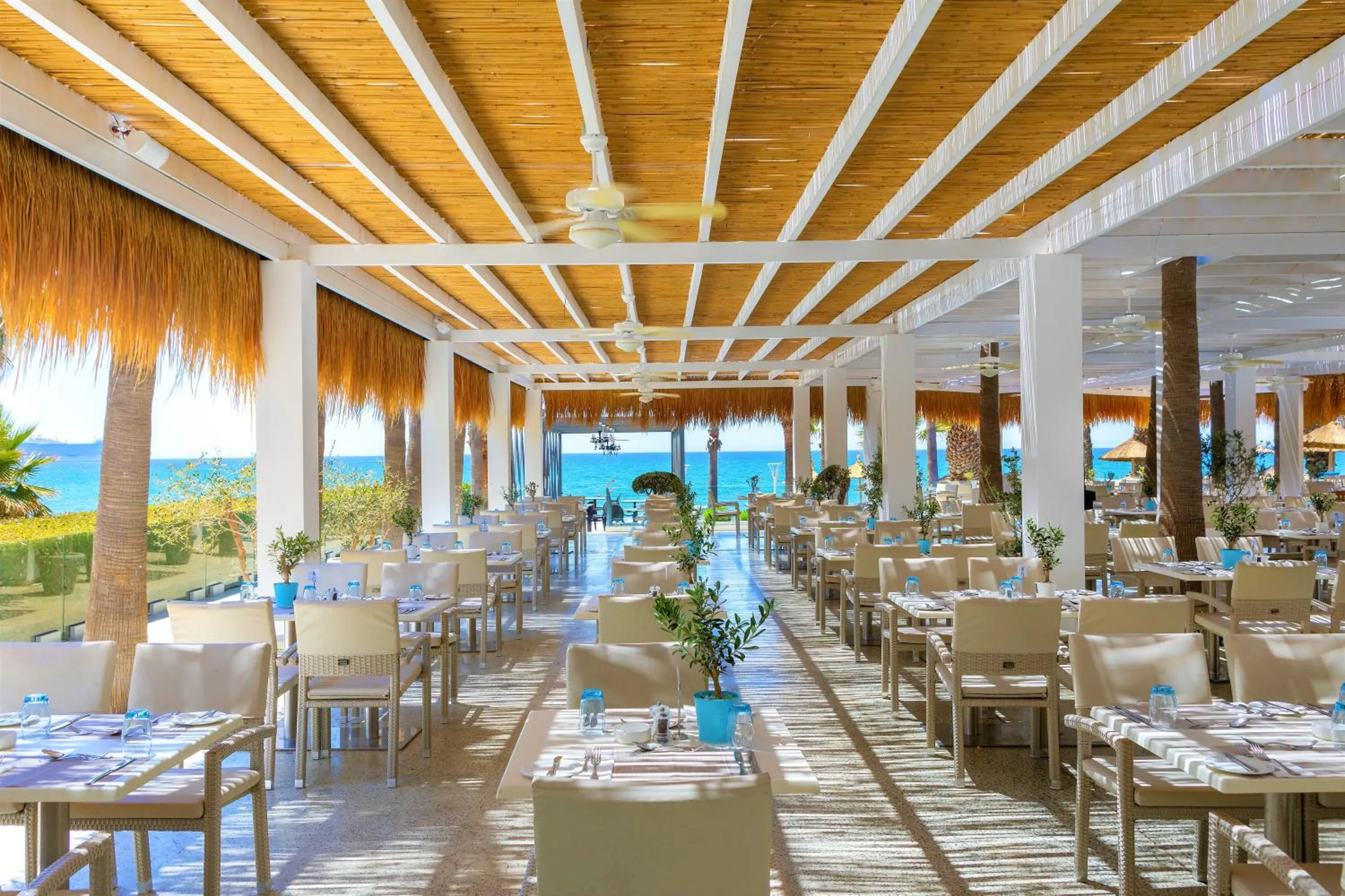 Restaurant/places to eat in The GrandResort - Limited Edition by Leonardo Hotels