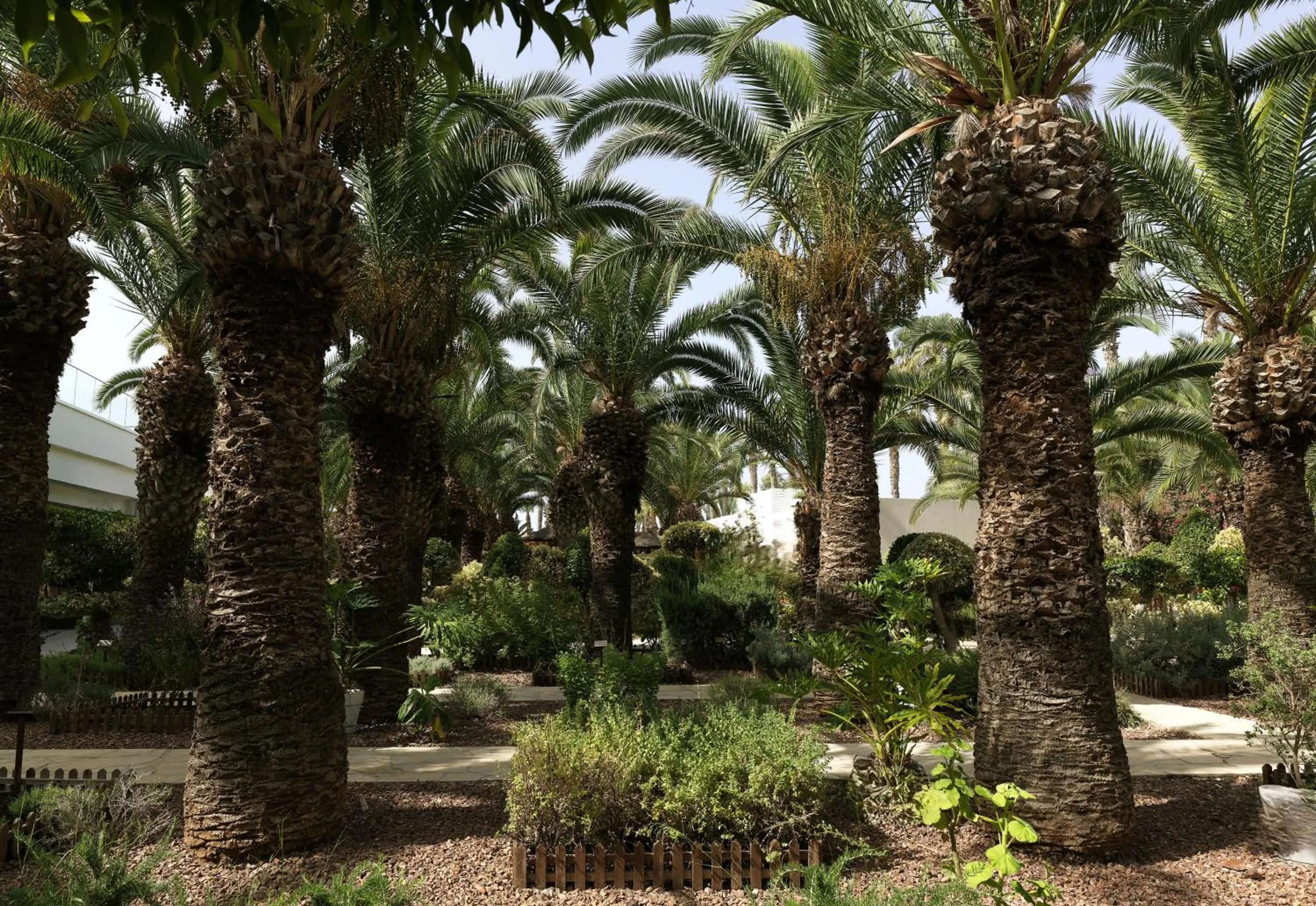 Garden in The GrandResort - Limited Edition by Leonardo Hotels