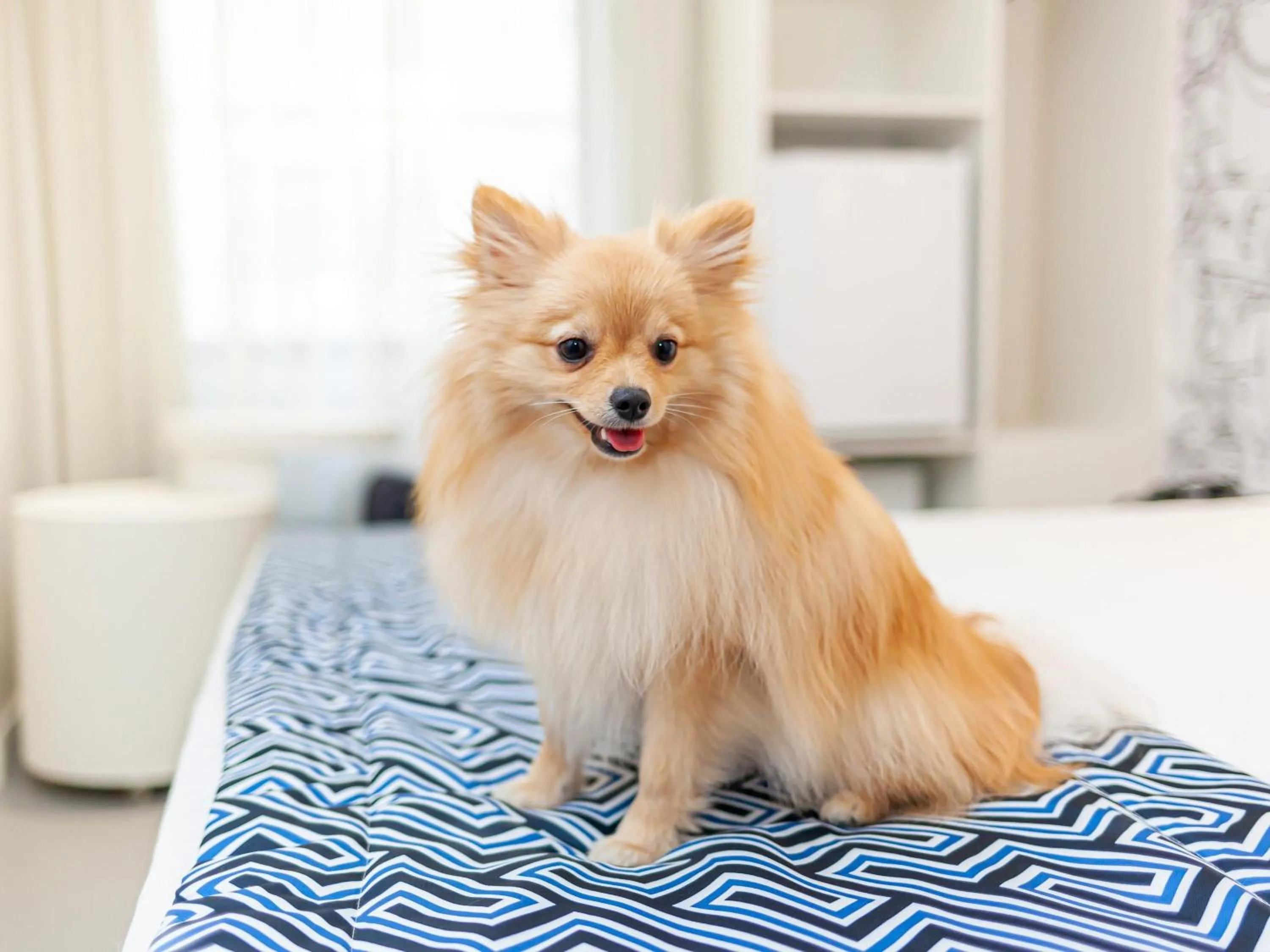 Other in ibis Styles Rondonopolis