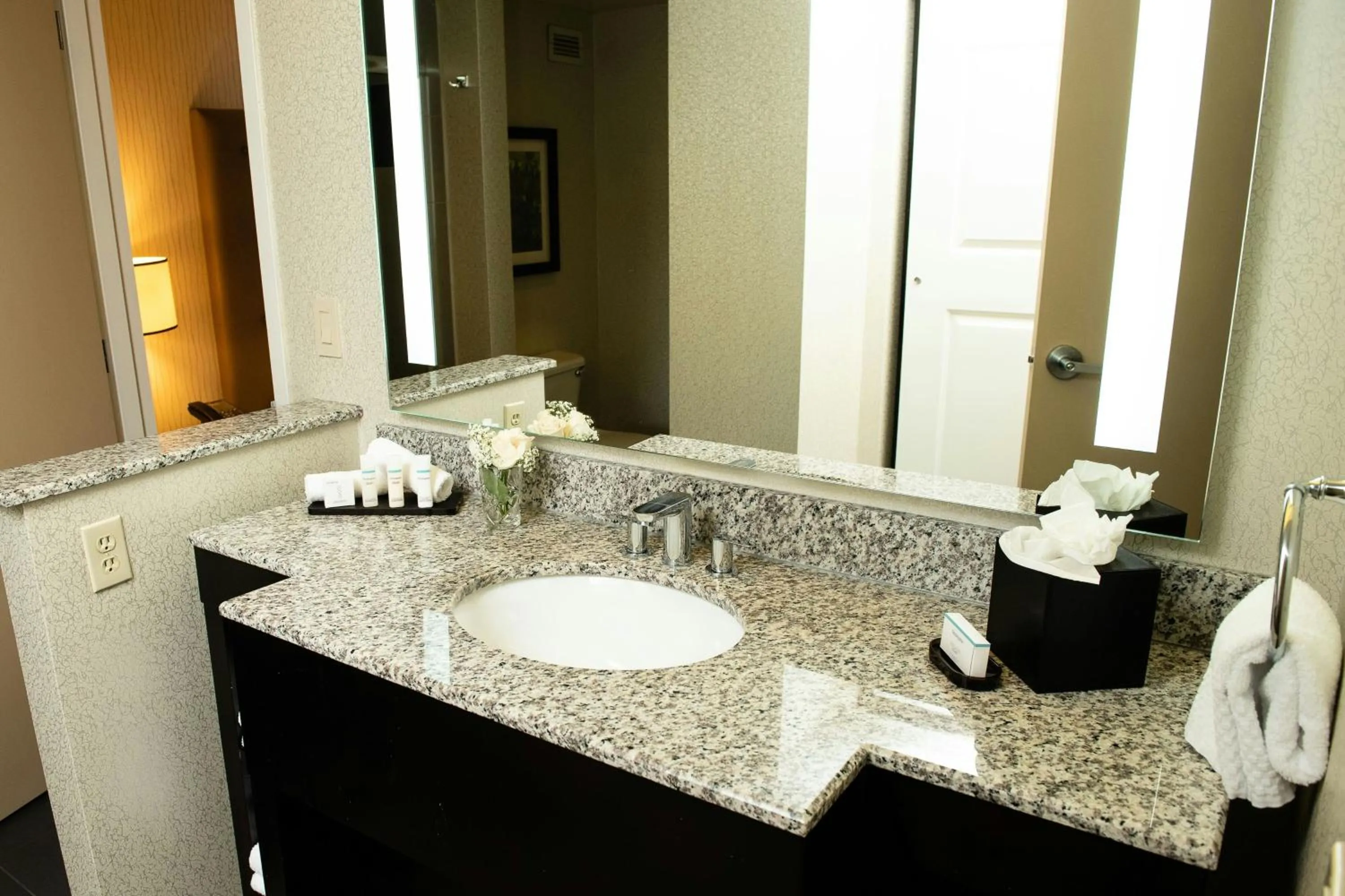 Bathroom in Hotel Auburn Hills
