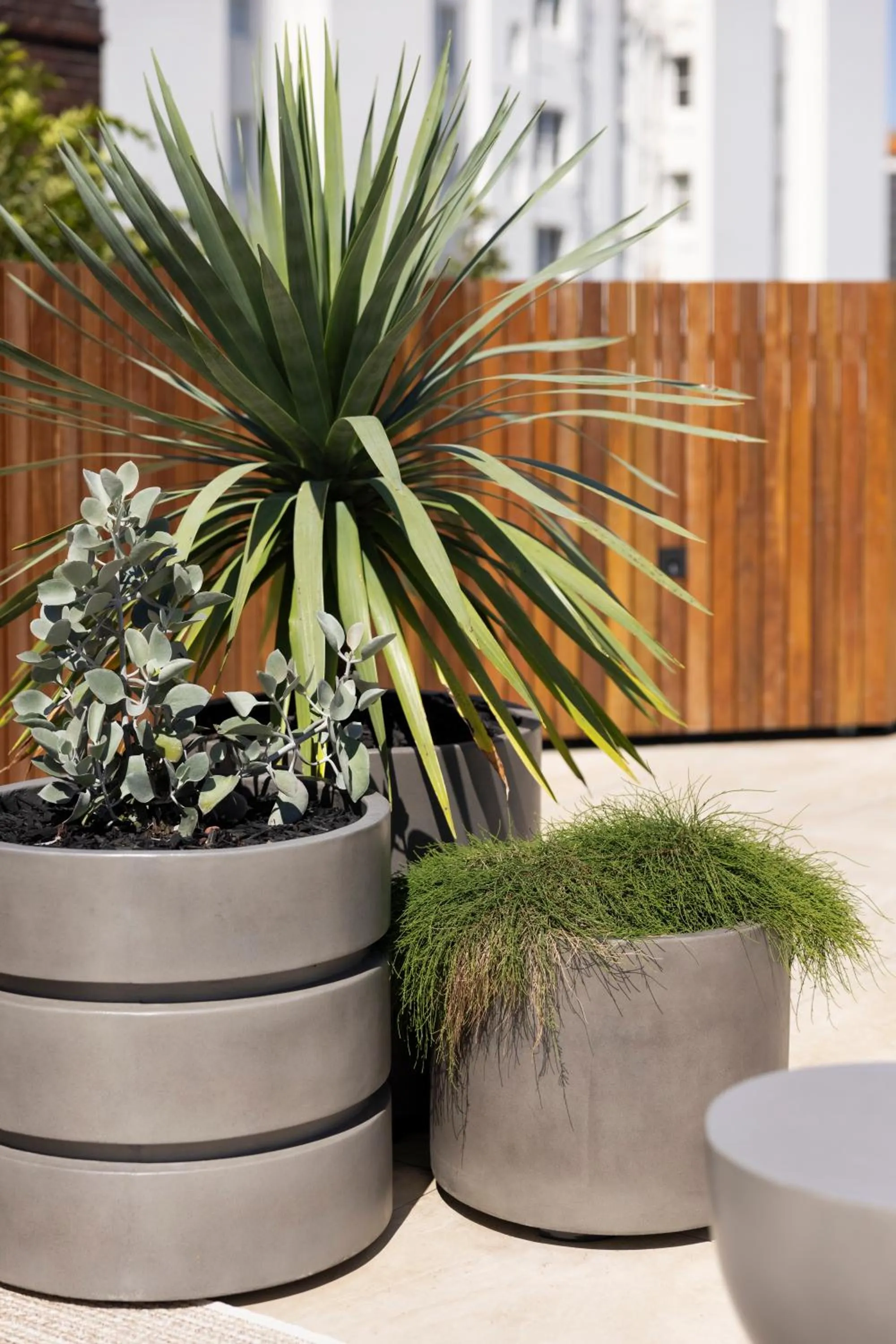 Day in Regents Court Sydney