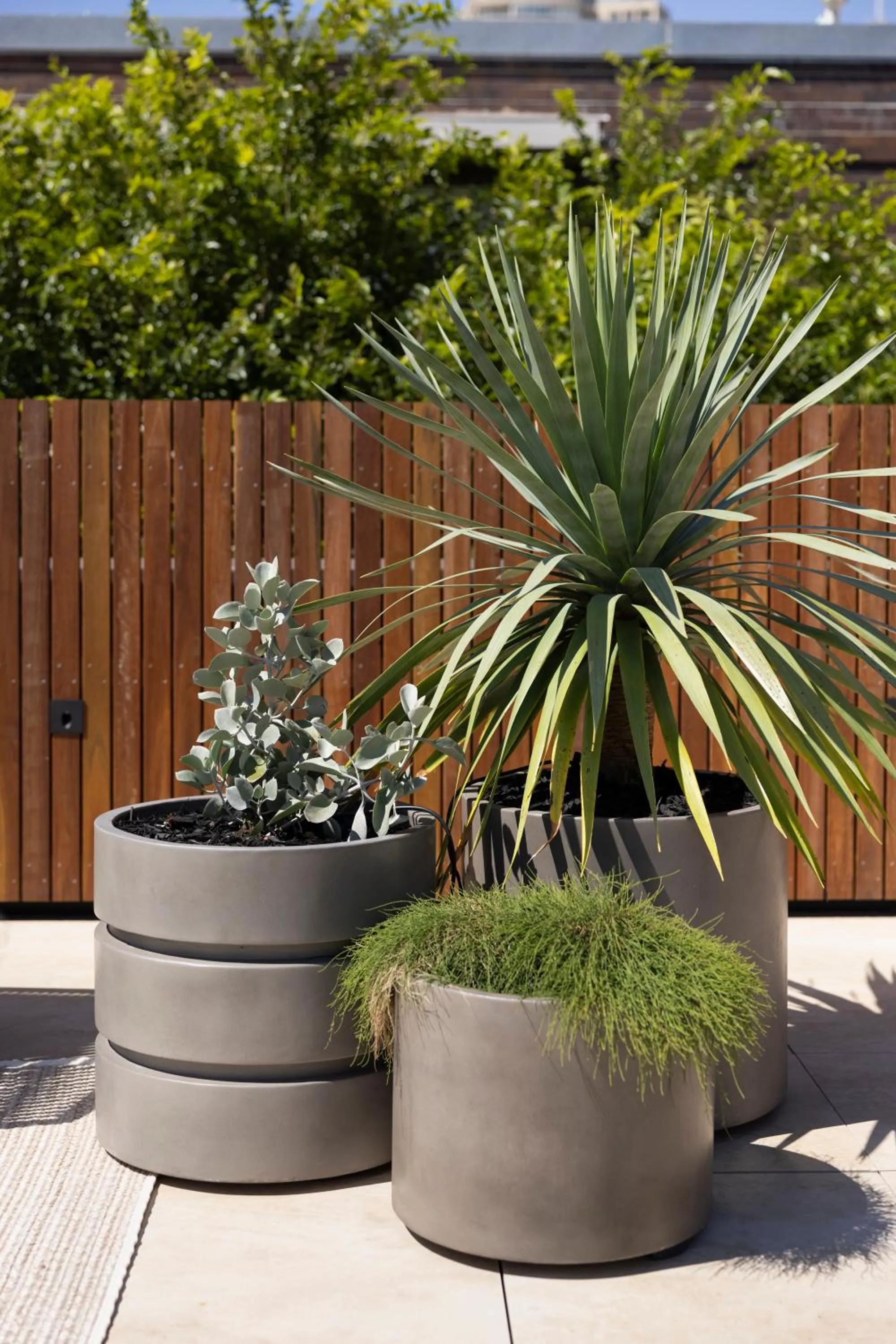 Day in Regents Court Sydney