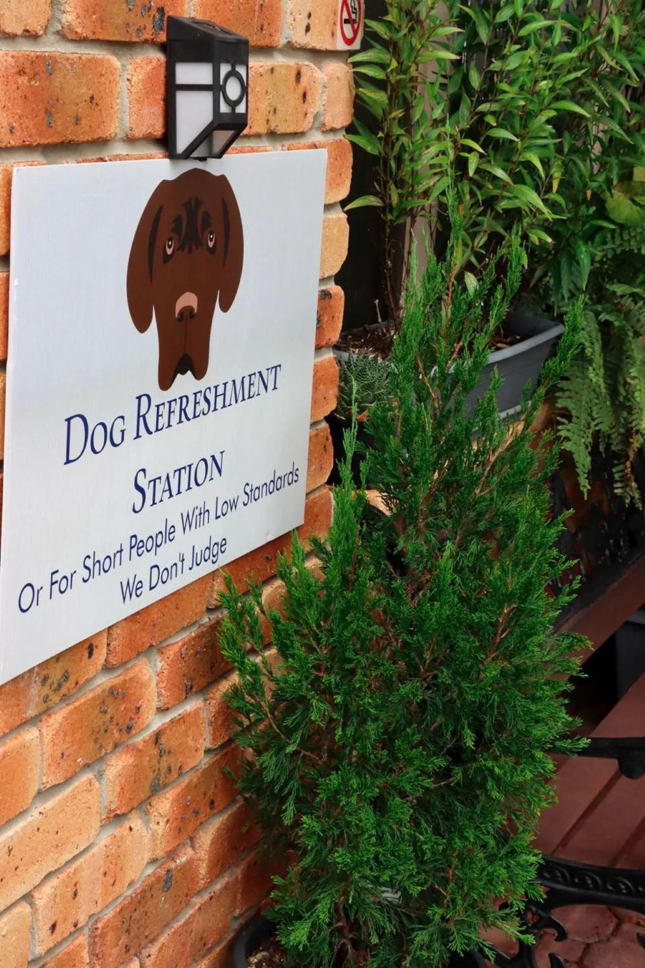 Kennedy Drive Boutique Motel - Close To City Centre & Airport