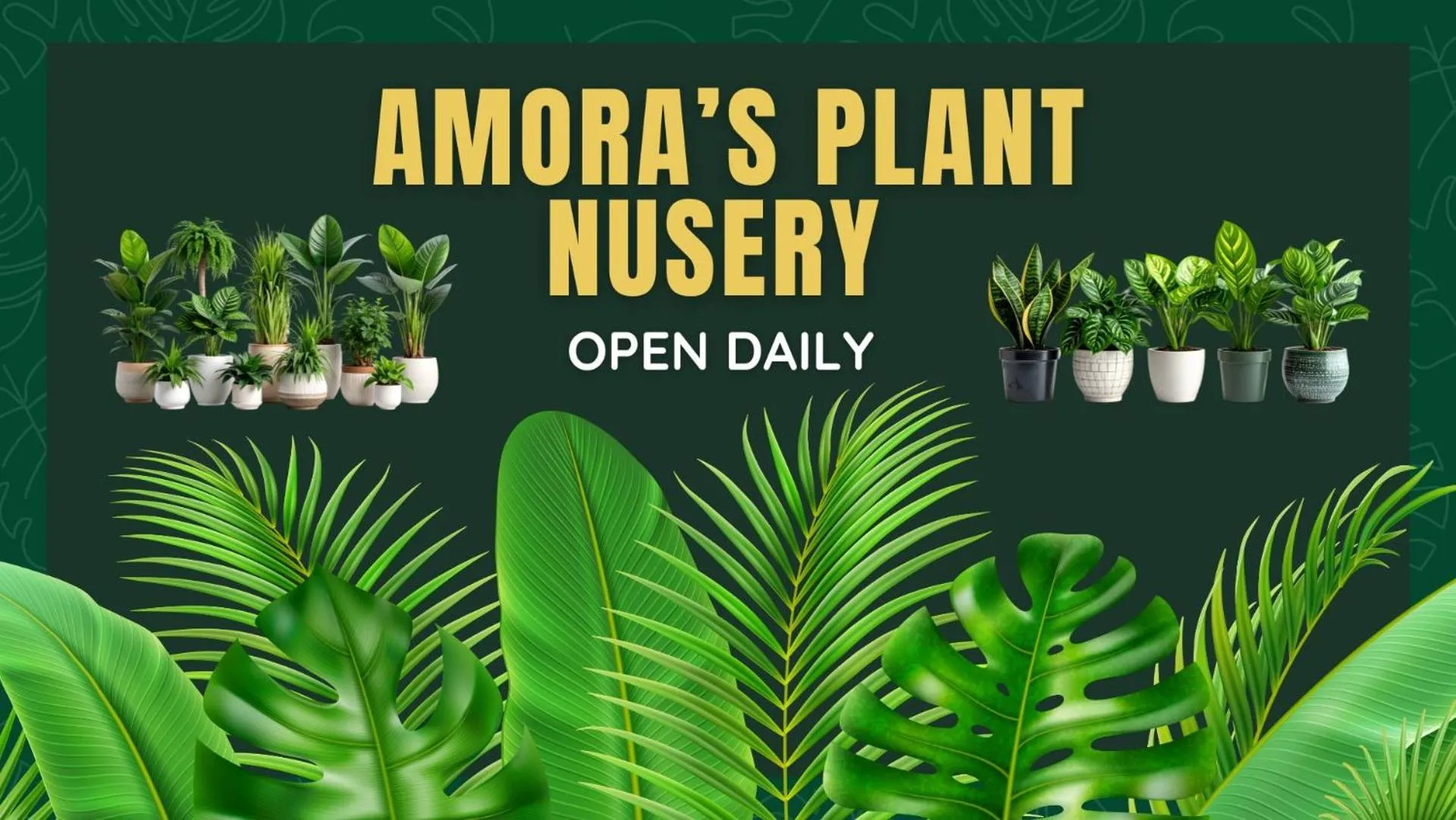 Kennedy Drive Boutique Motel - Close To City Centre & Airport