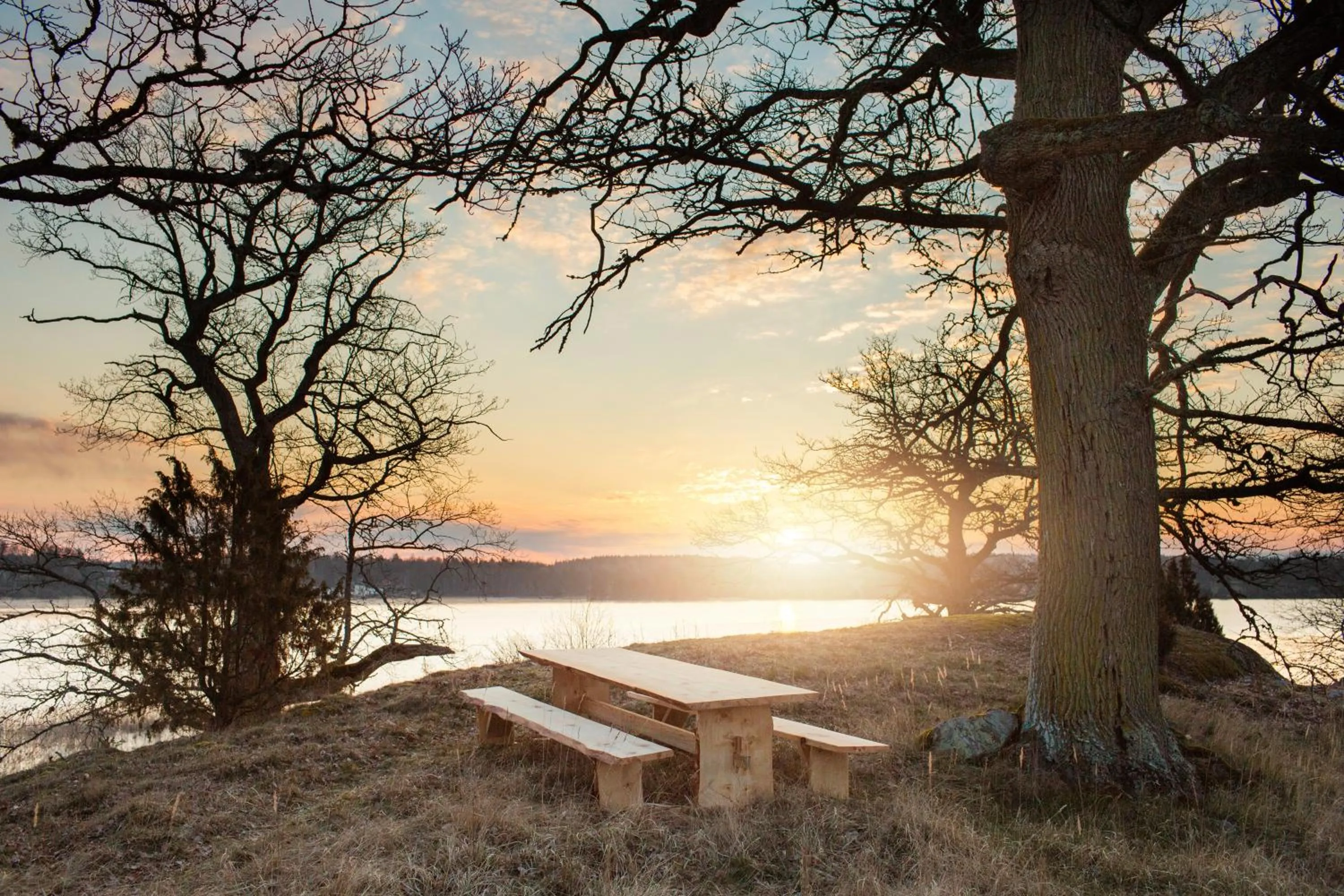Natural landscape in Wallby Säteri
