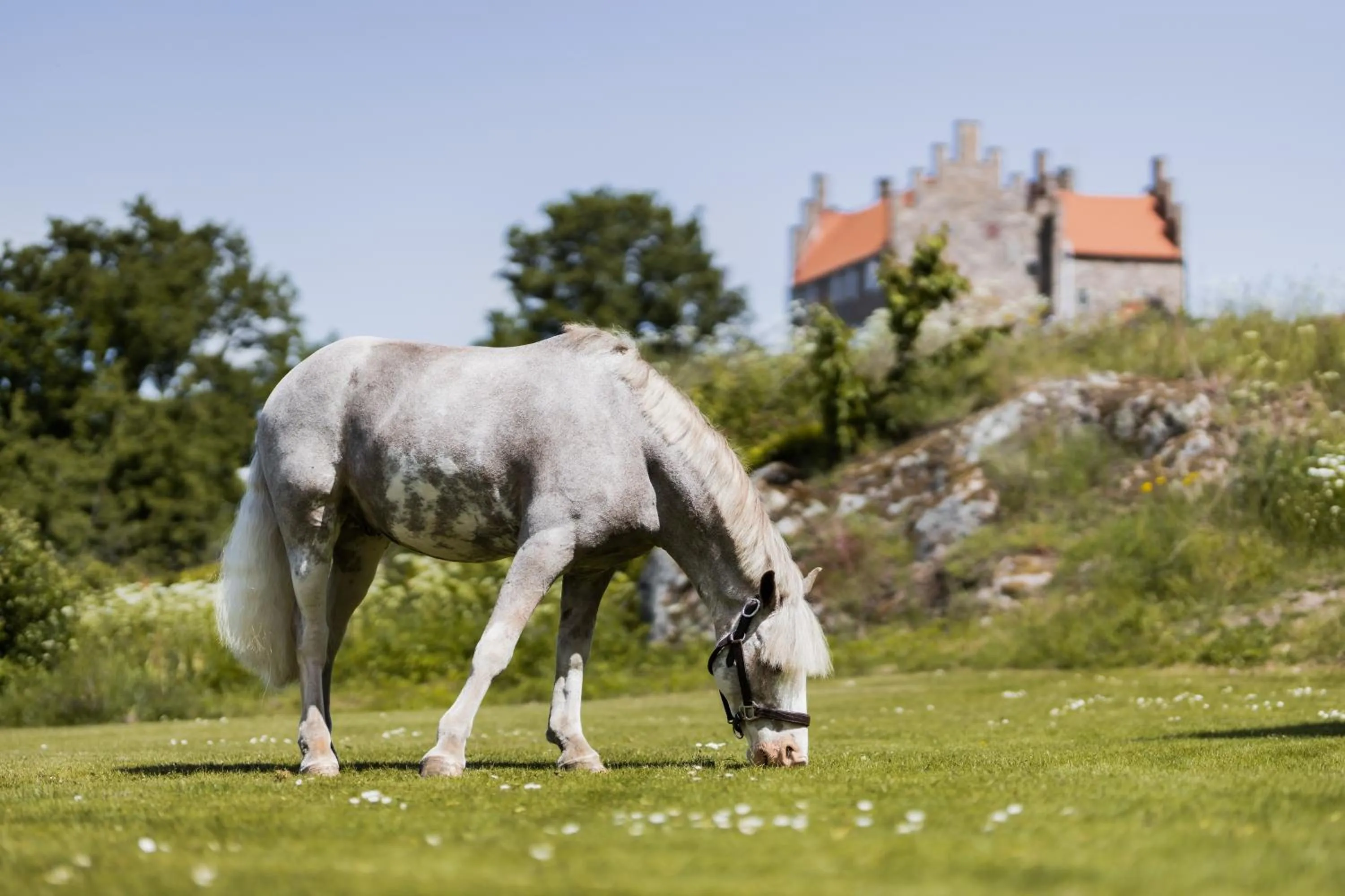 Day in Hotel Gyllene Uttern