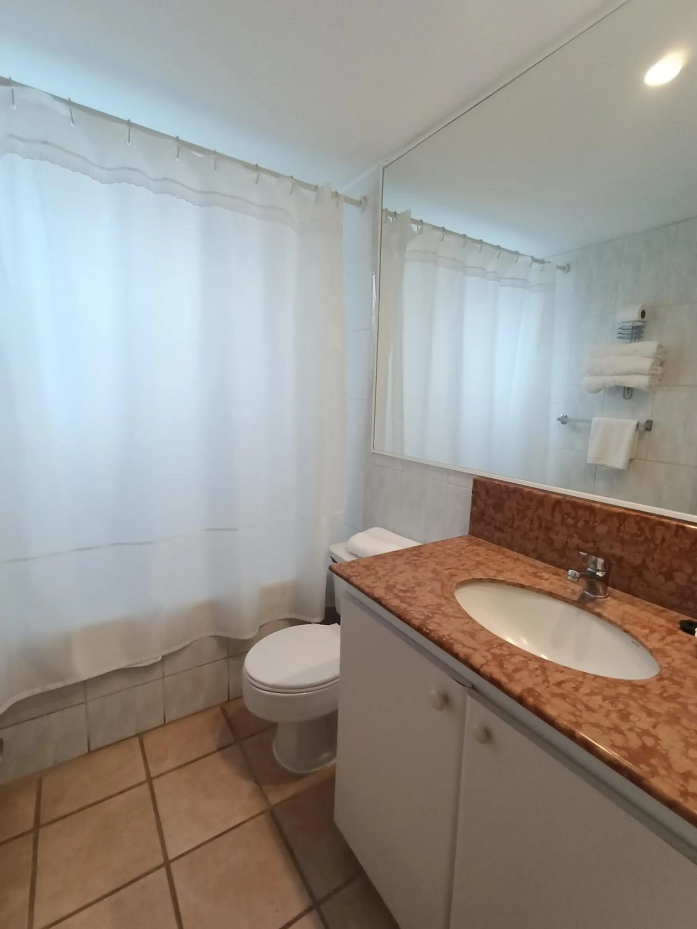 Bathroom in Apart Enjoy Pucón