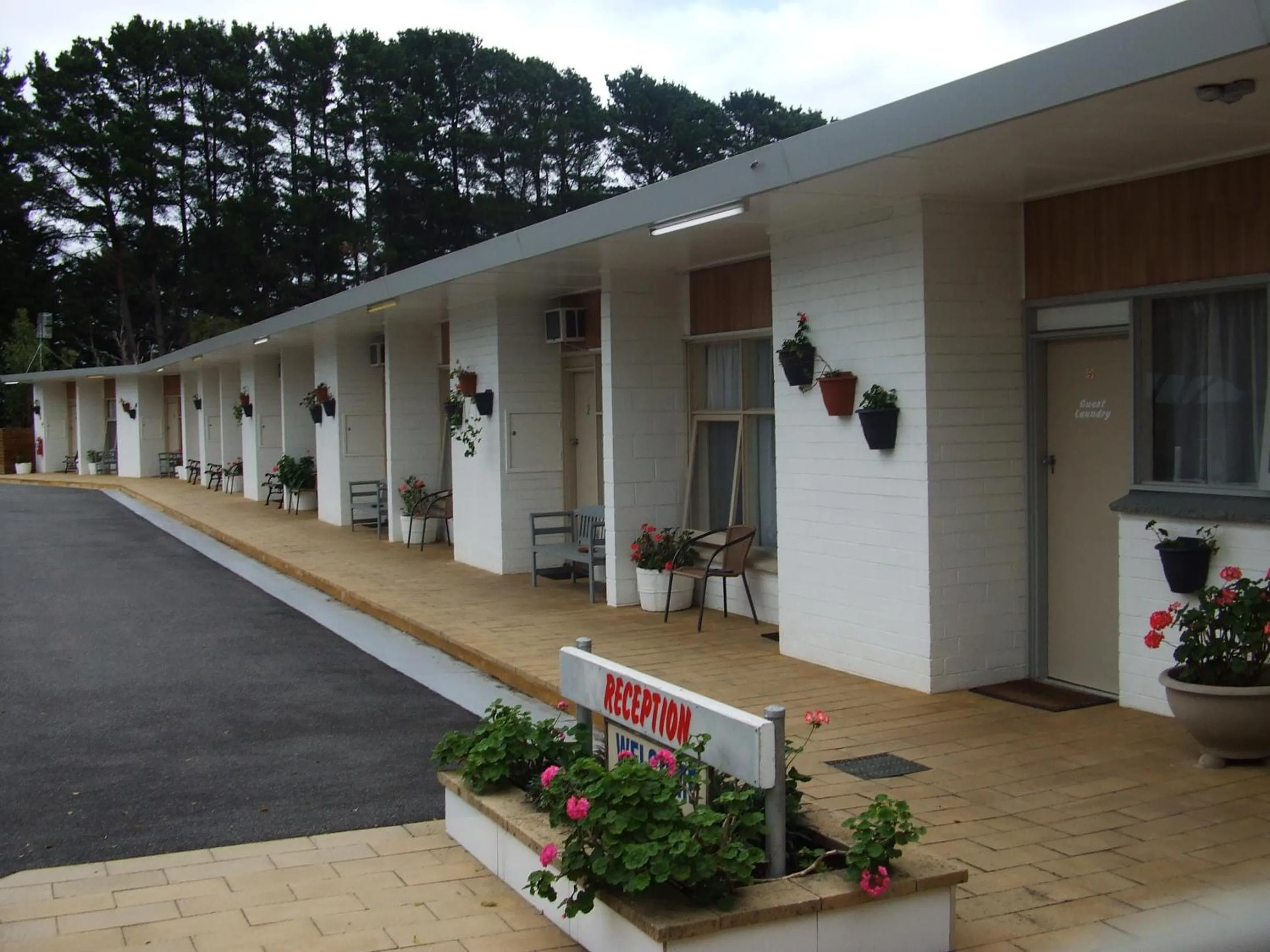 Spring in The Terang Motor Inn