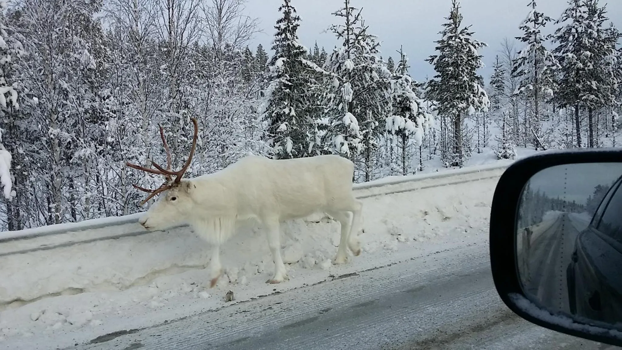 Winter in Hotell Wilhelmina