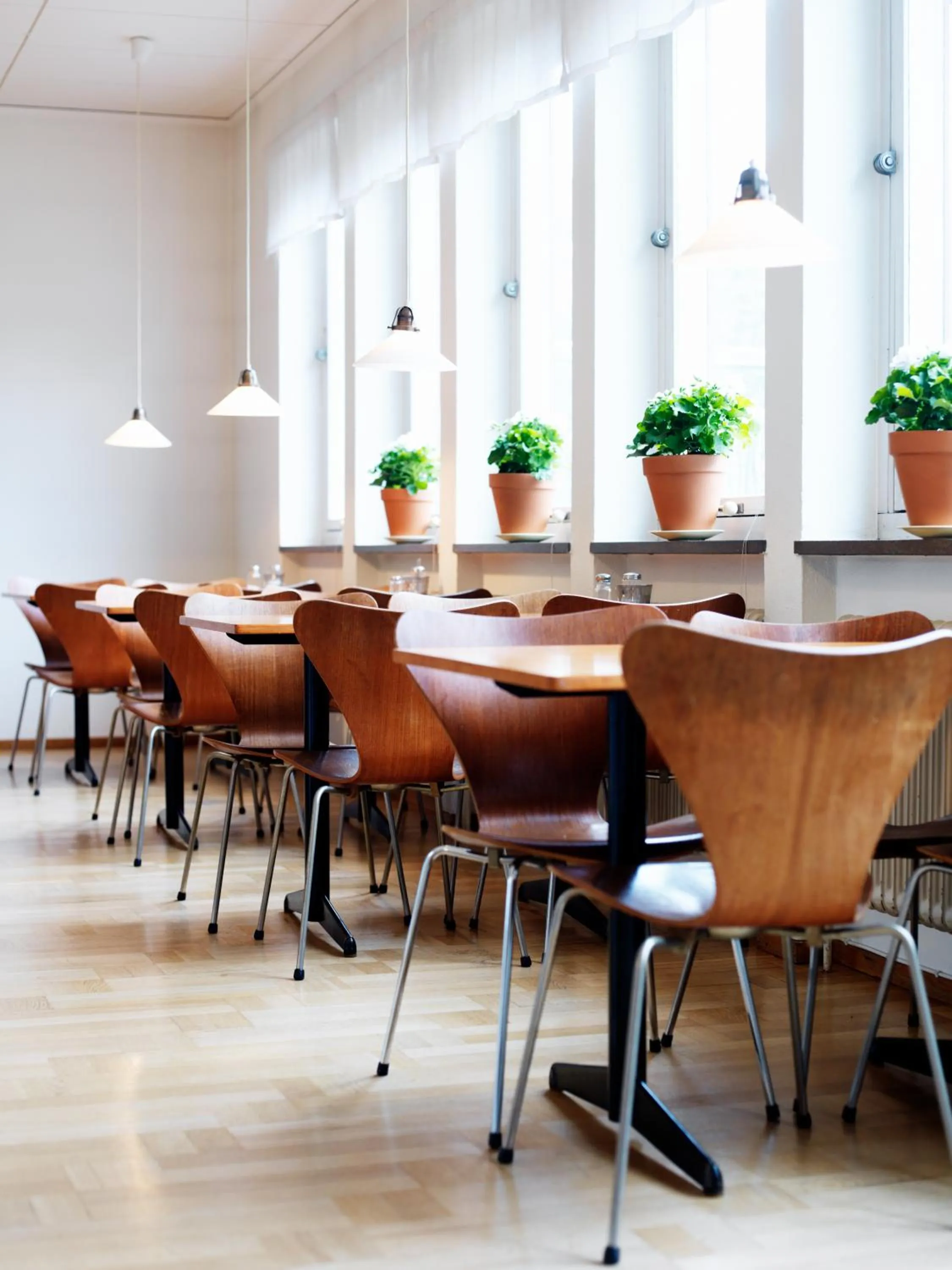 Dining area in Hotel Kockska Gården