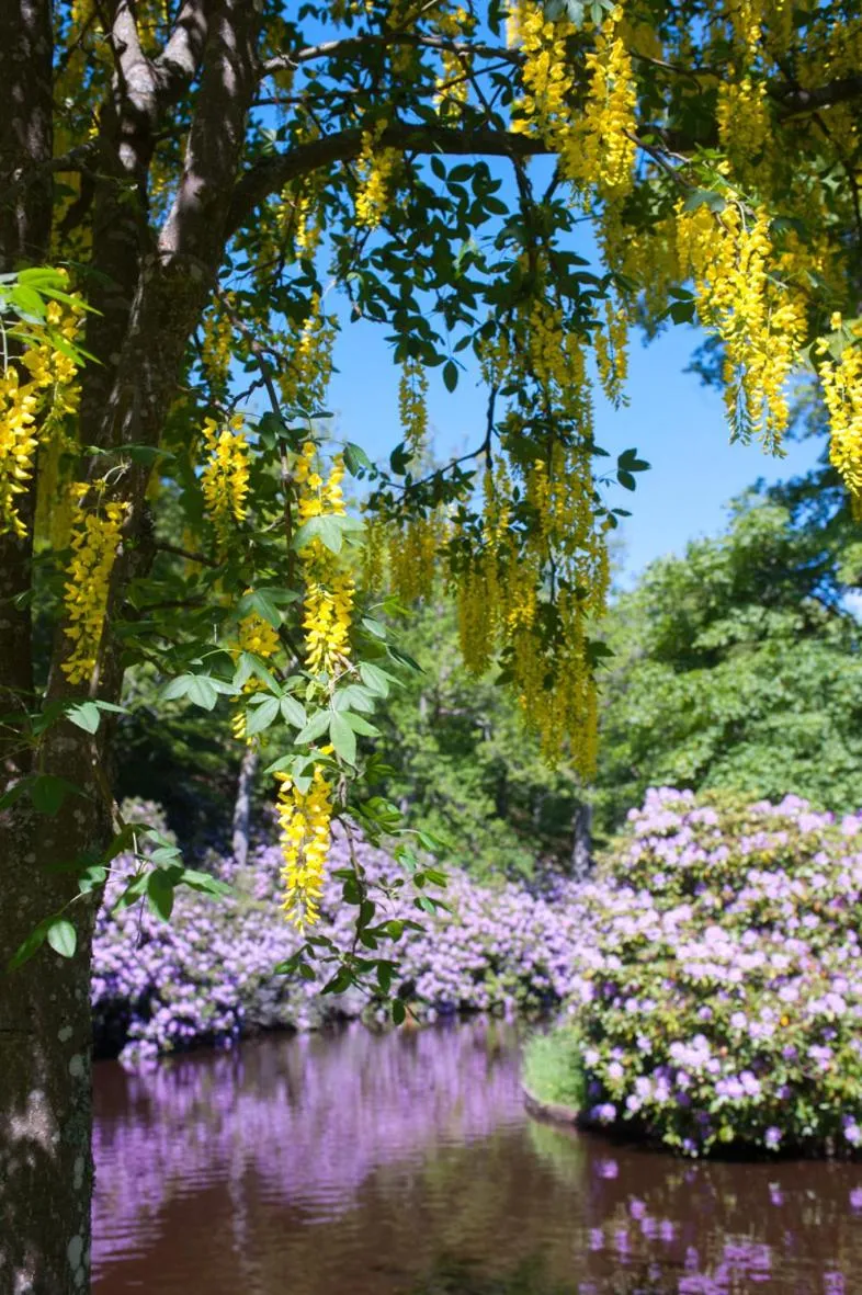Garden in Ronneby Brunnspark Vandrarhem och B&B