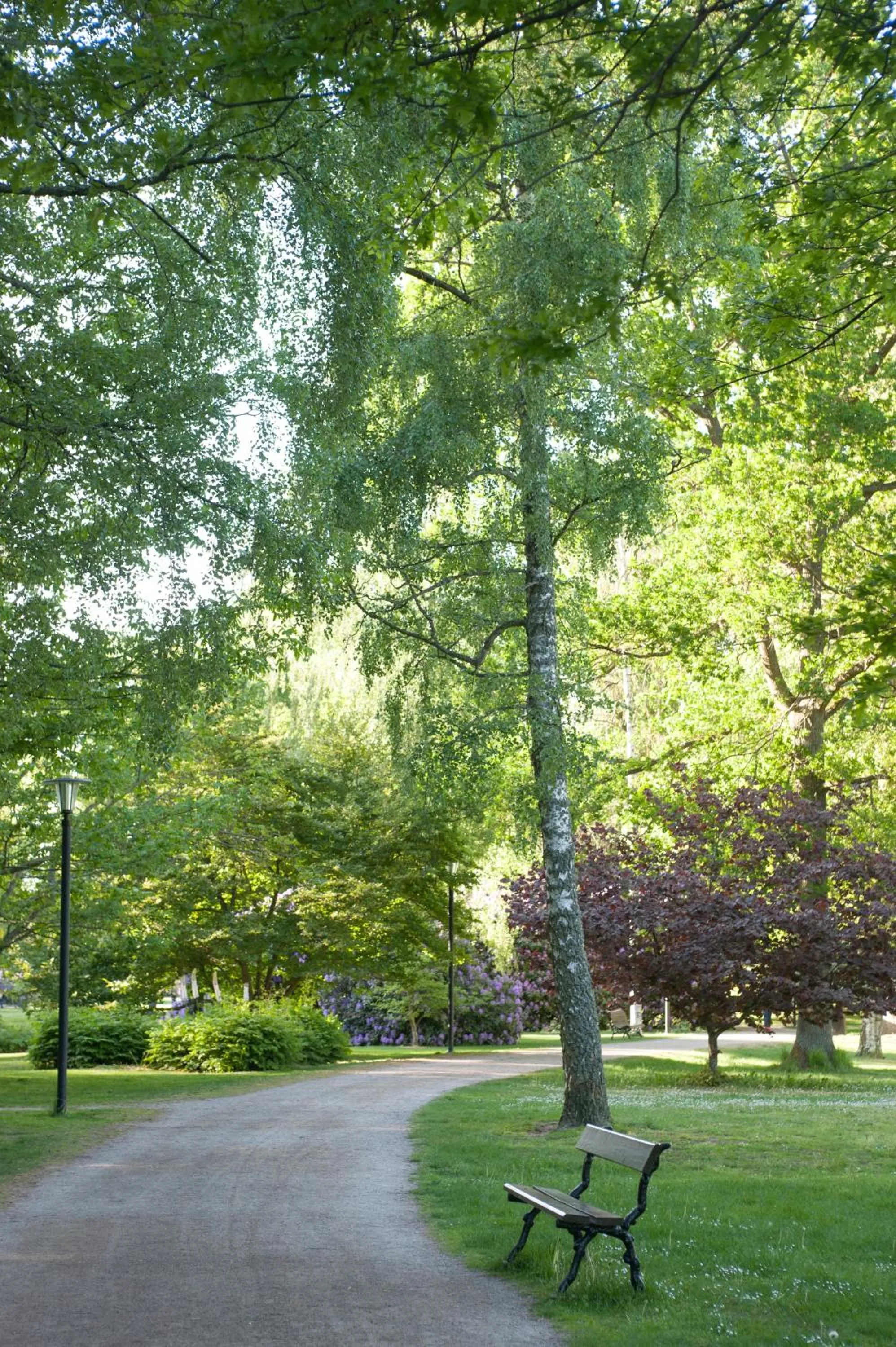 Ronneby Brunnspark Vandrarhem och B&B