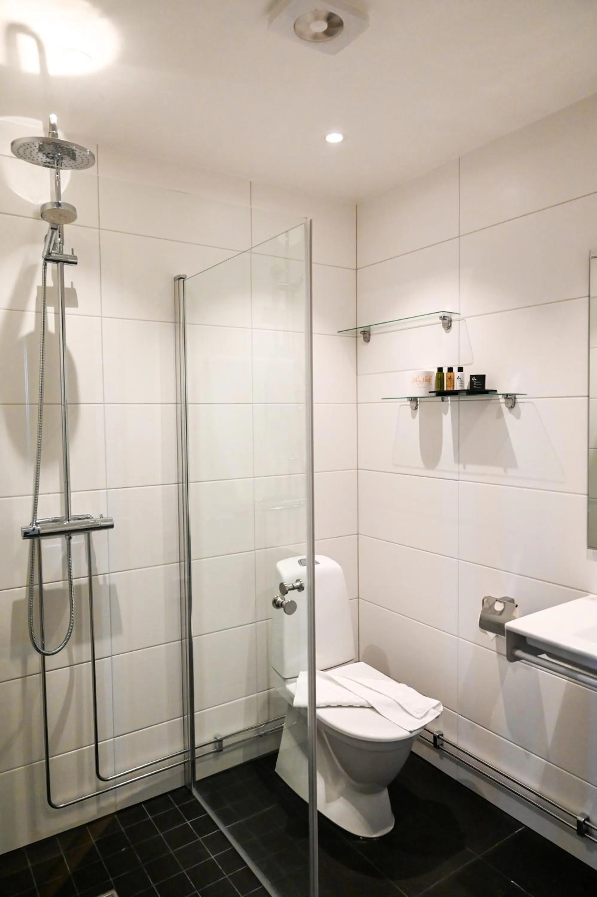 Bathroom in Palace Hotell