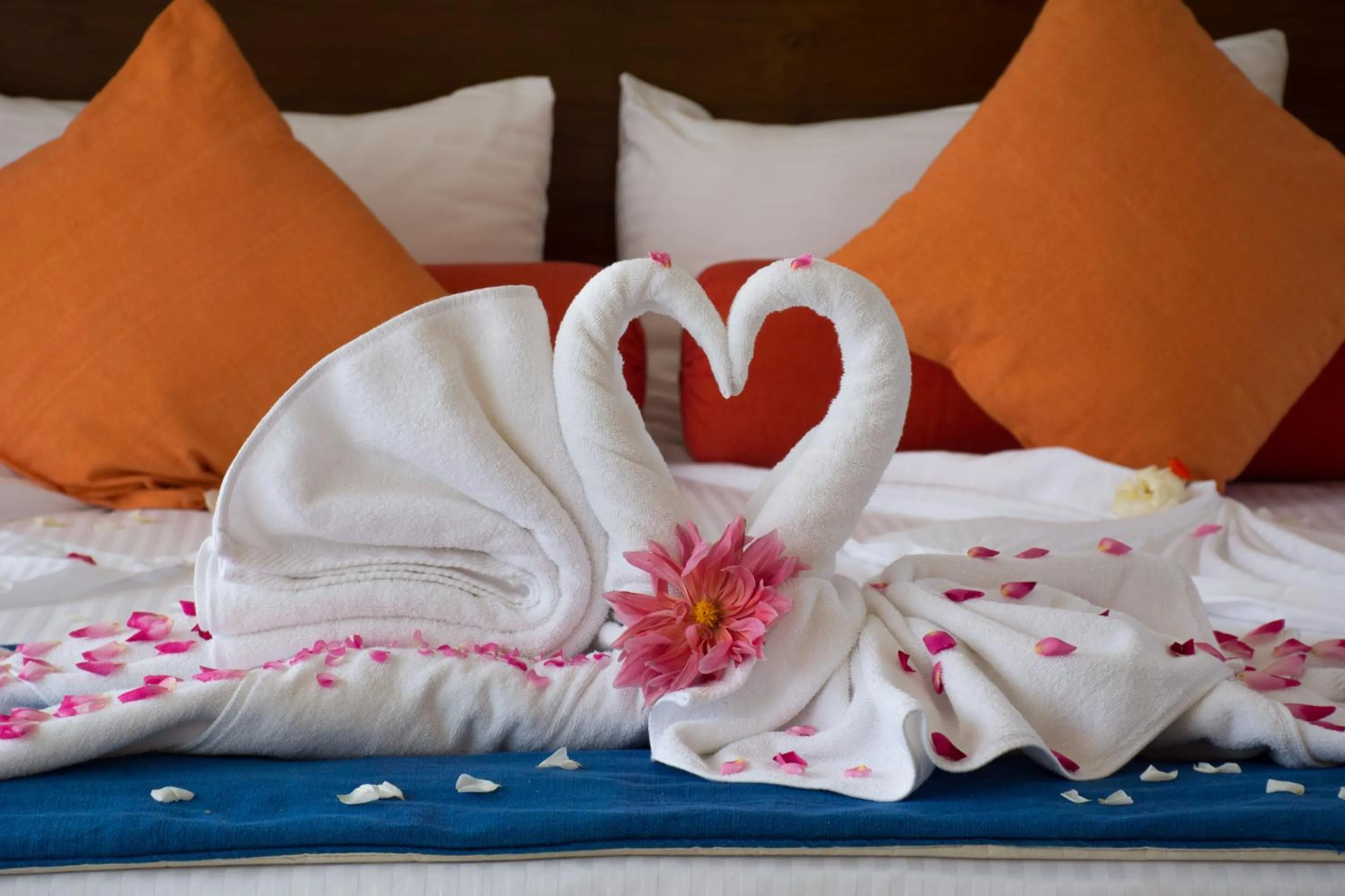 Decorative detail, Bed in Okwin Resort