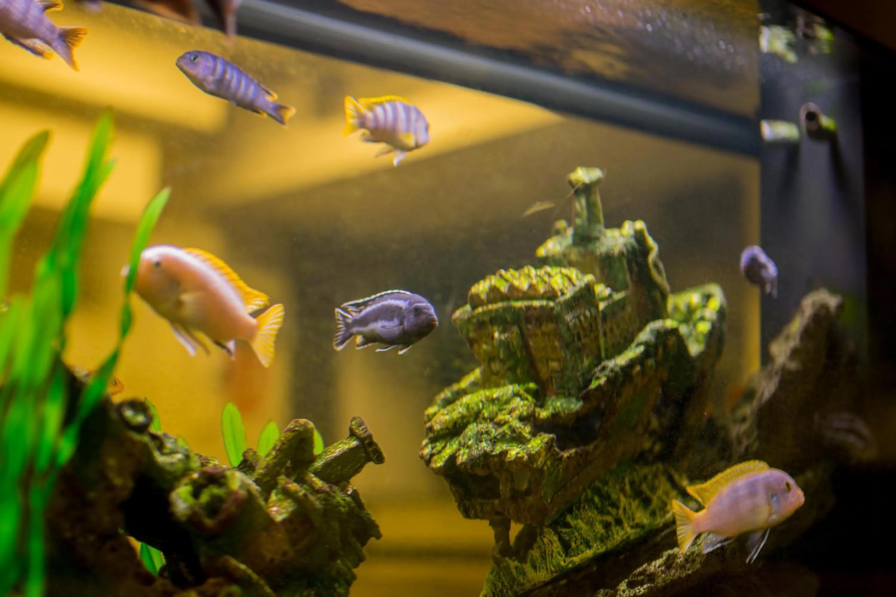 Property building in Dream - Luxury Hostel