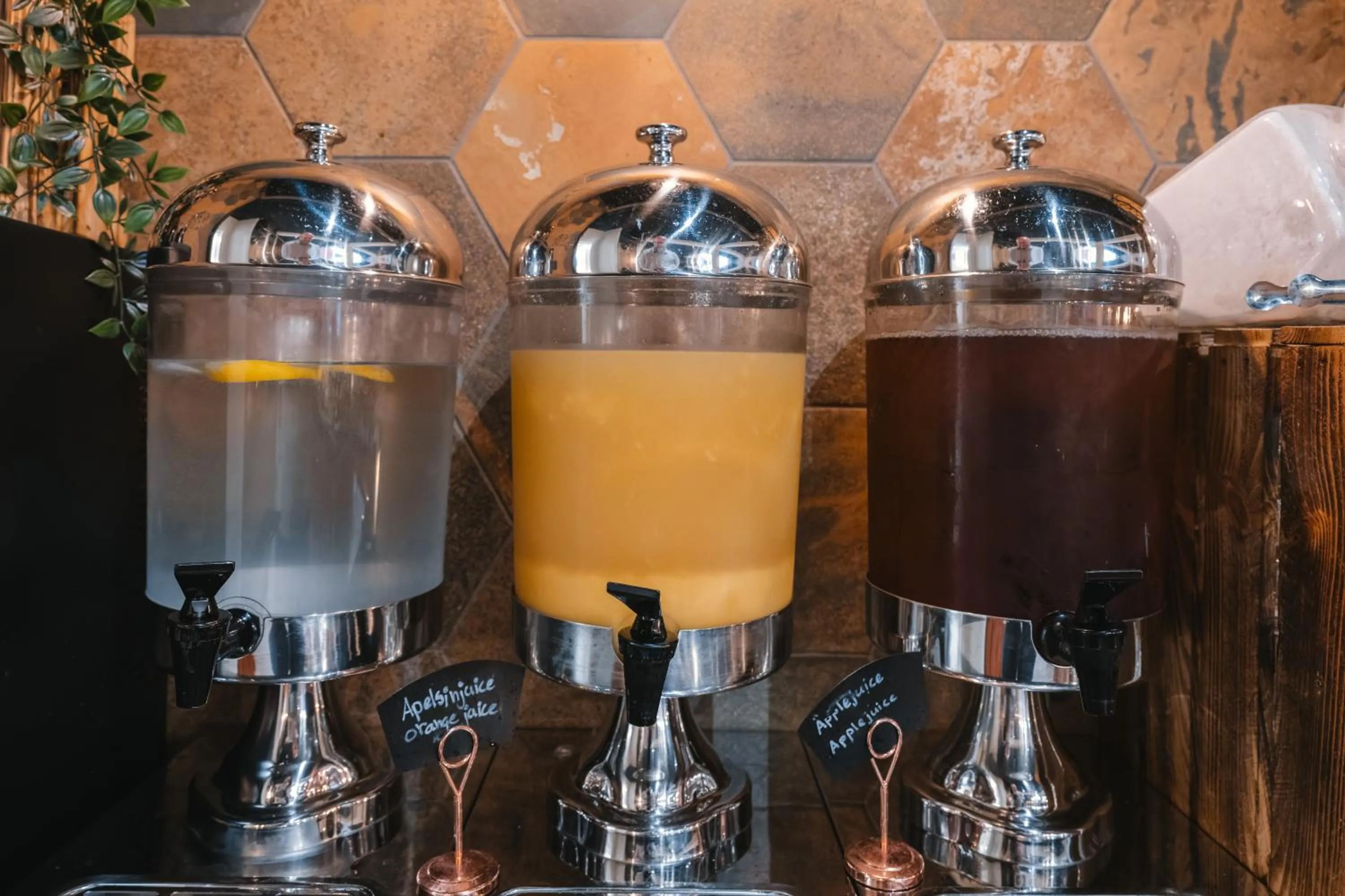 Dream - Luxury Hostel