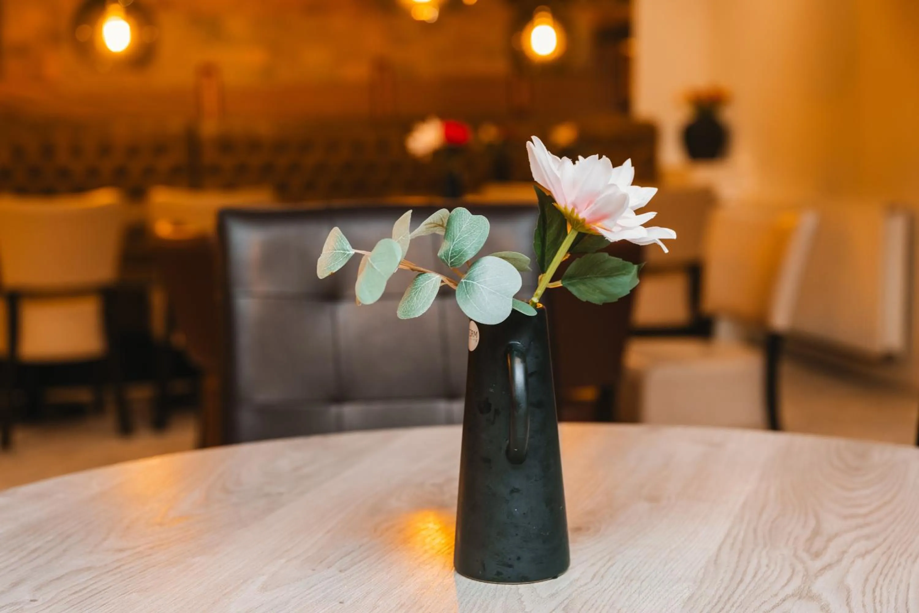 Dream - Luxury Hostel