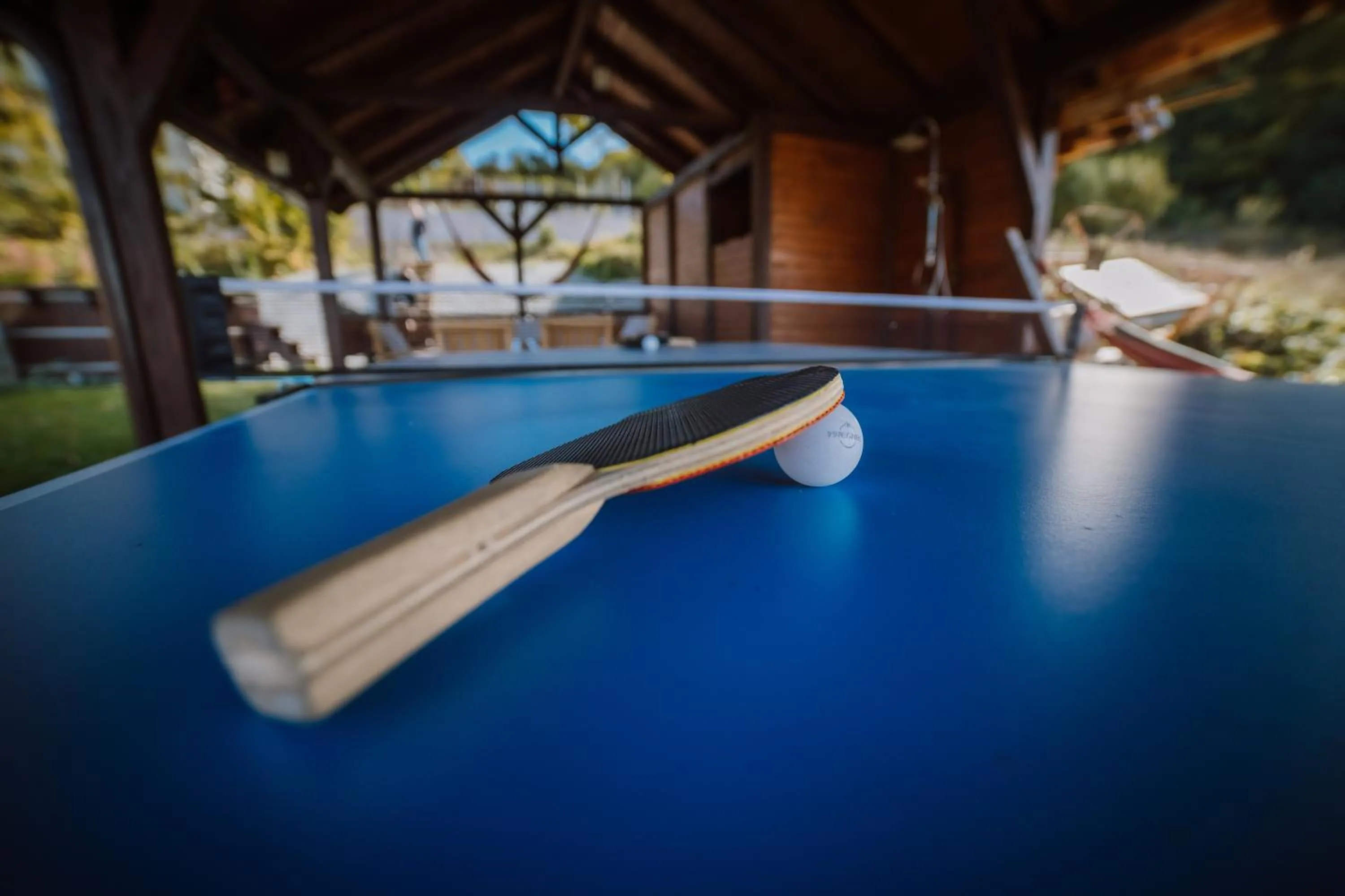 Table tennis in Hotel Relax Sovata