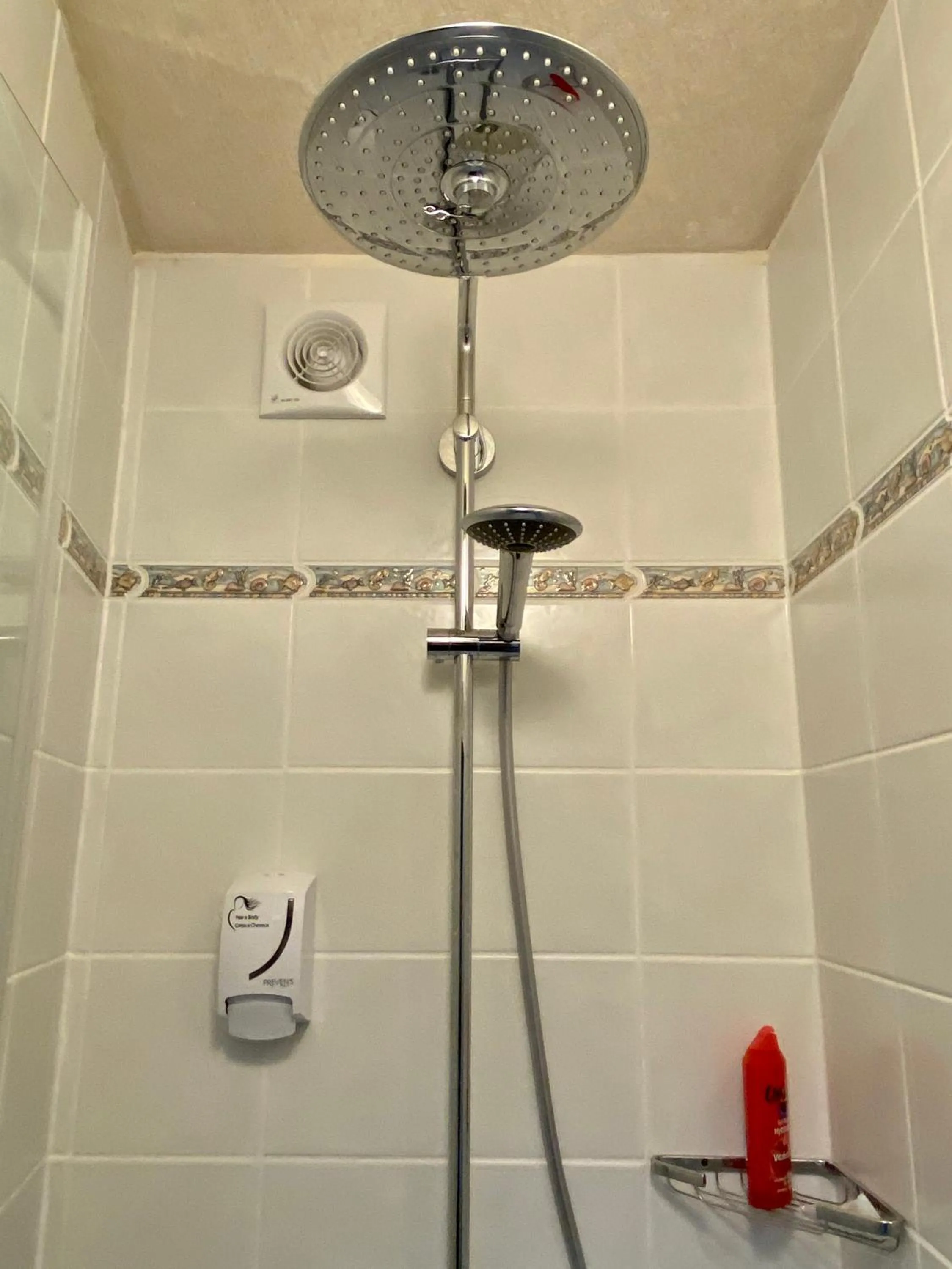 Shower in Hotel Studia