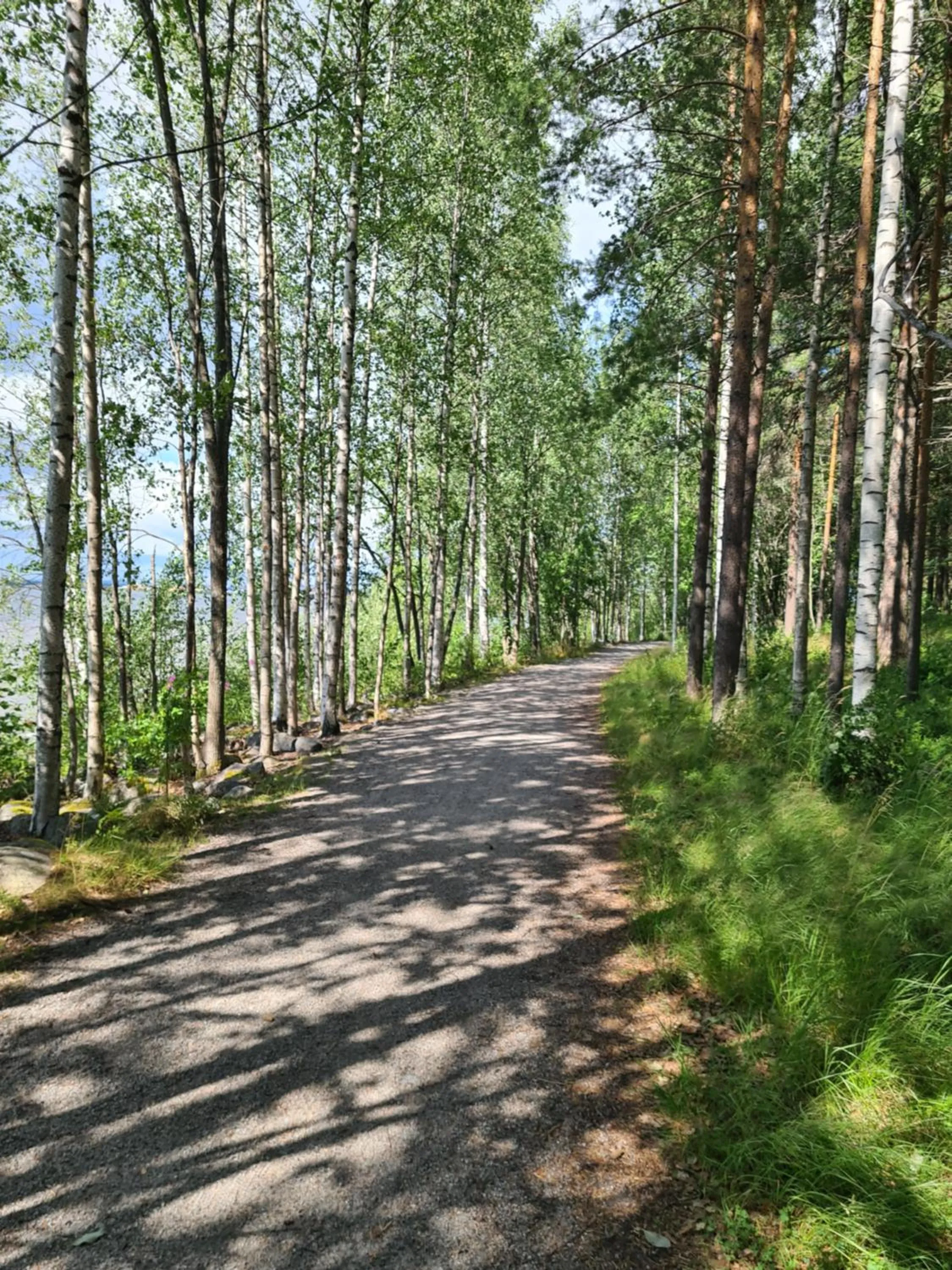 Neighbourhood in Furunäset Hotell & Konferens