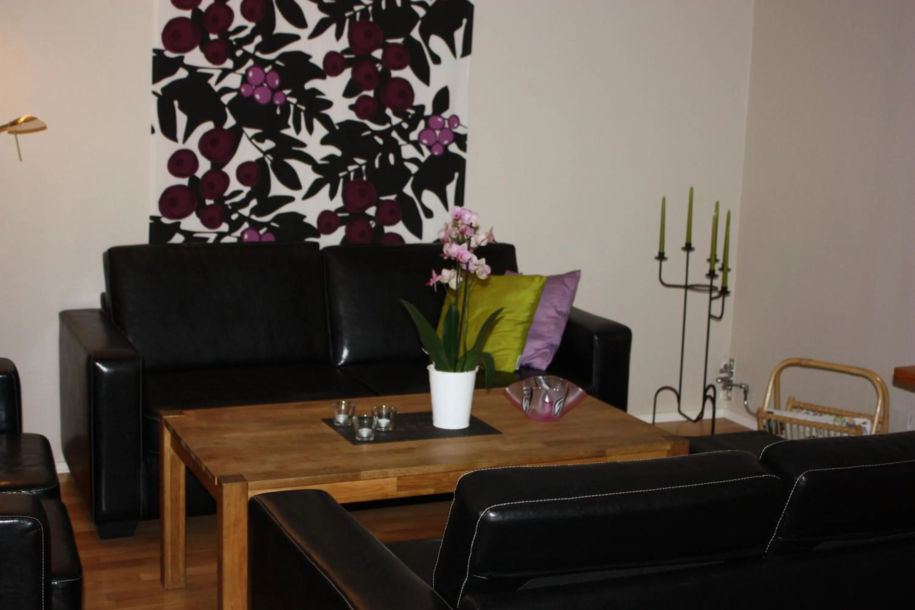 TV and multimedia in Hotell Angöringen