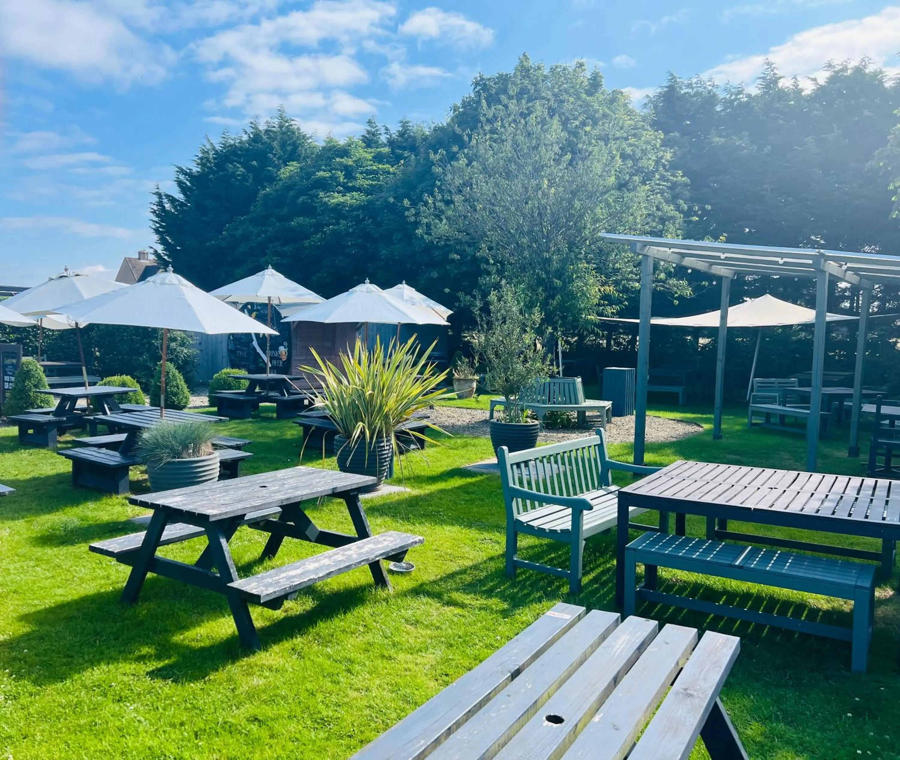 Garden in The Ragged Cot