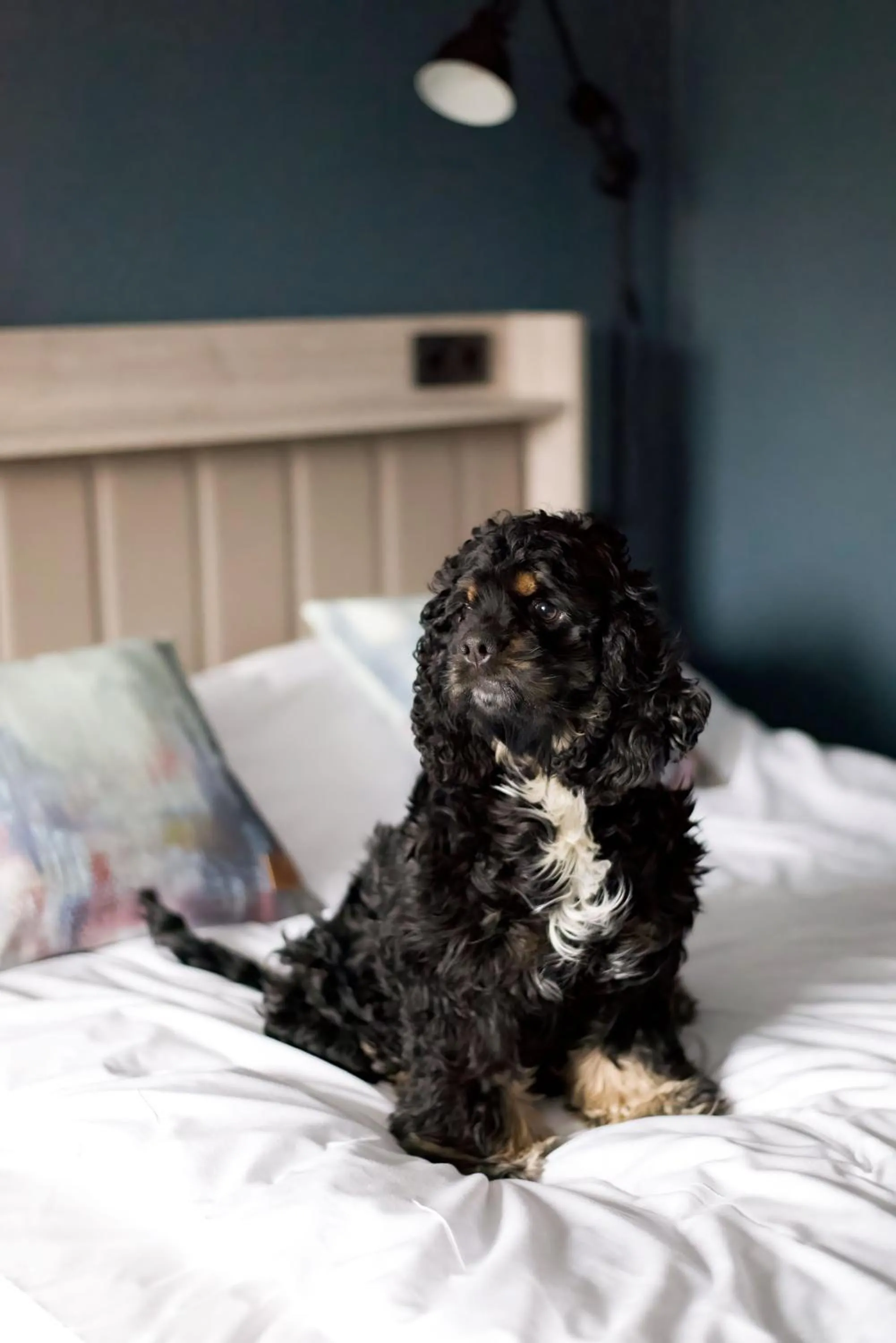 Bed in Hotell Nissastigen