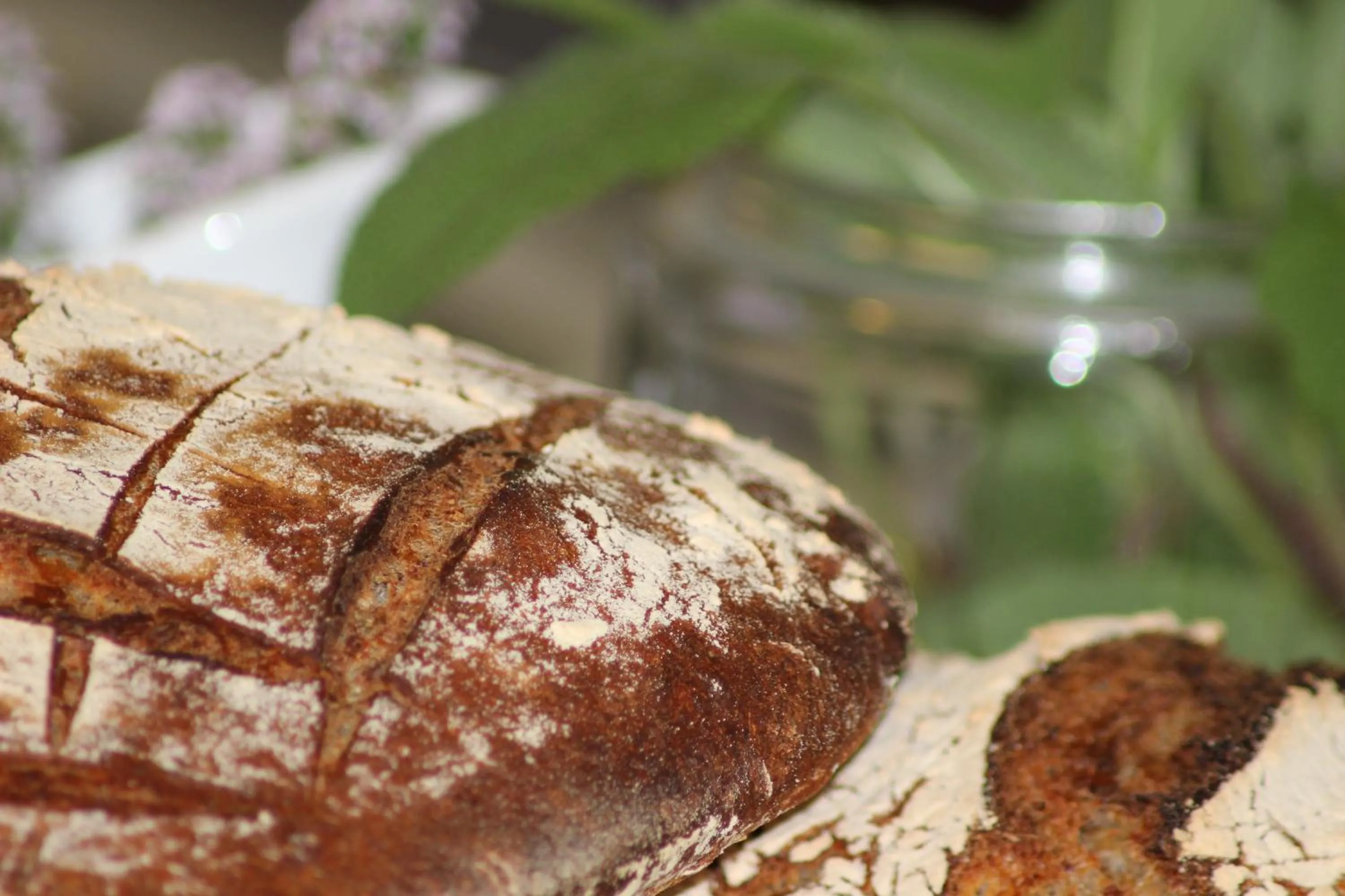 Food close-up in Skivarps Gästgivaregård