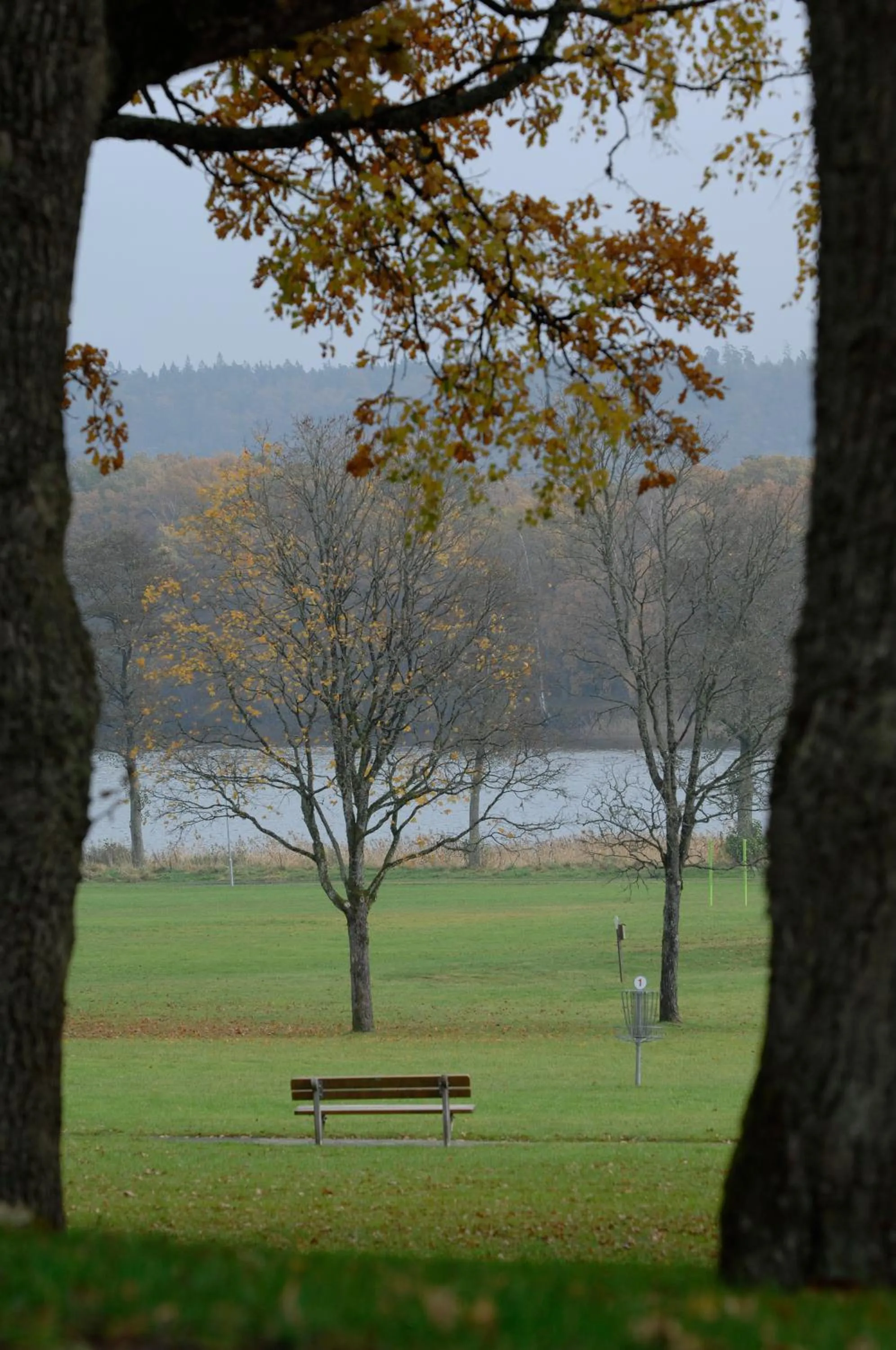 Garden in Hotell Hehrne